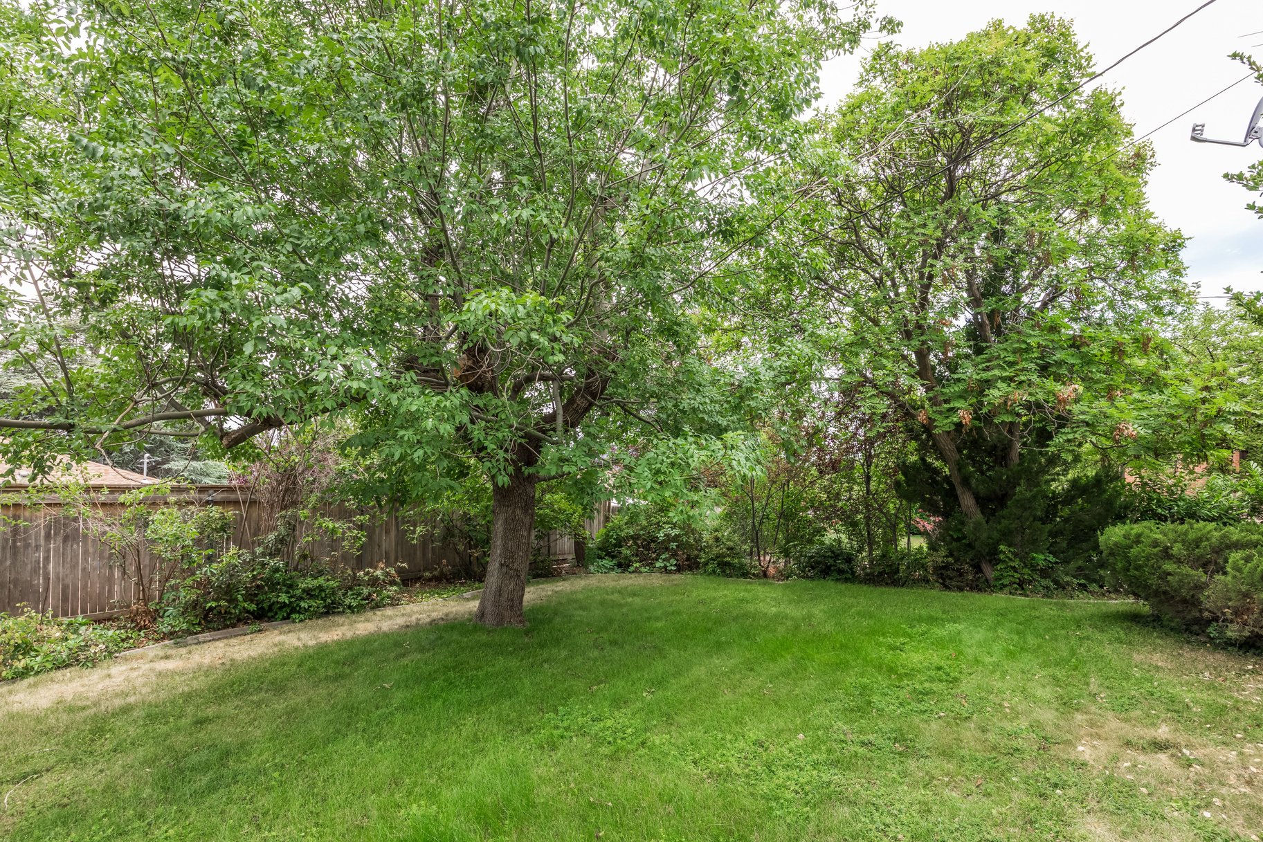 Expansive lawn area featuring mature trees and a wood fence perimeter