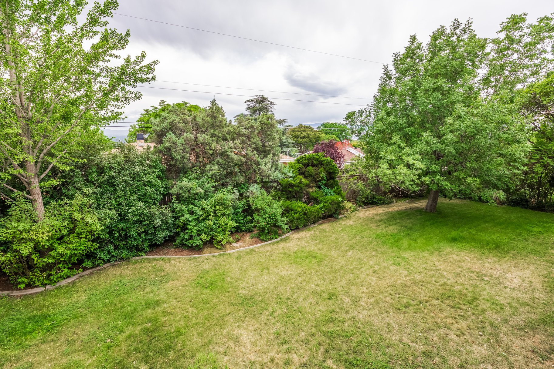Expansive backyard featuring a large lawn area, mature trees, diverse green foliage, and natural landscaping