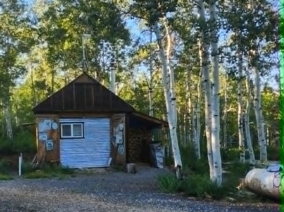 Rustic building with a pitched roof and a light-colored siding facade, surrounded by tall, slender trees with light-colored bark