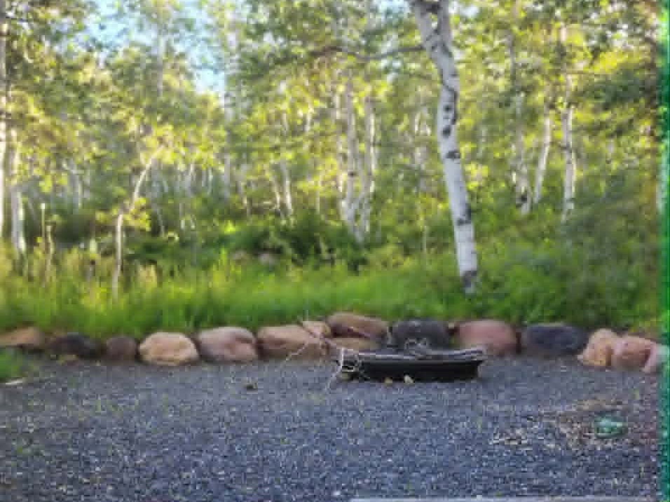 Outdoor fire pit area with gravel ground cover, surrounded by natural stone edging and mature trees