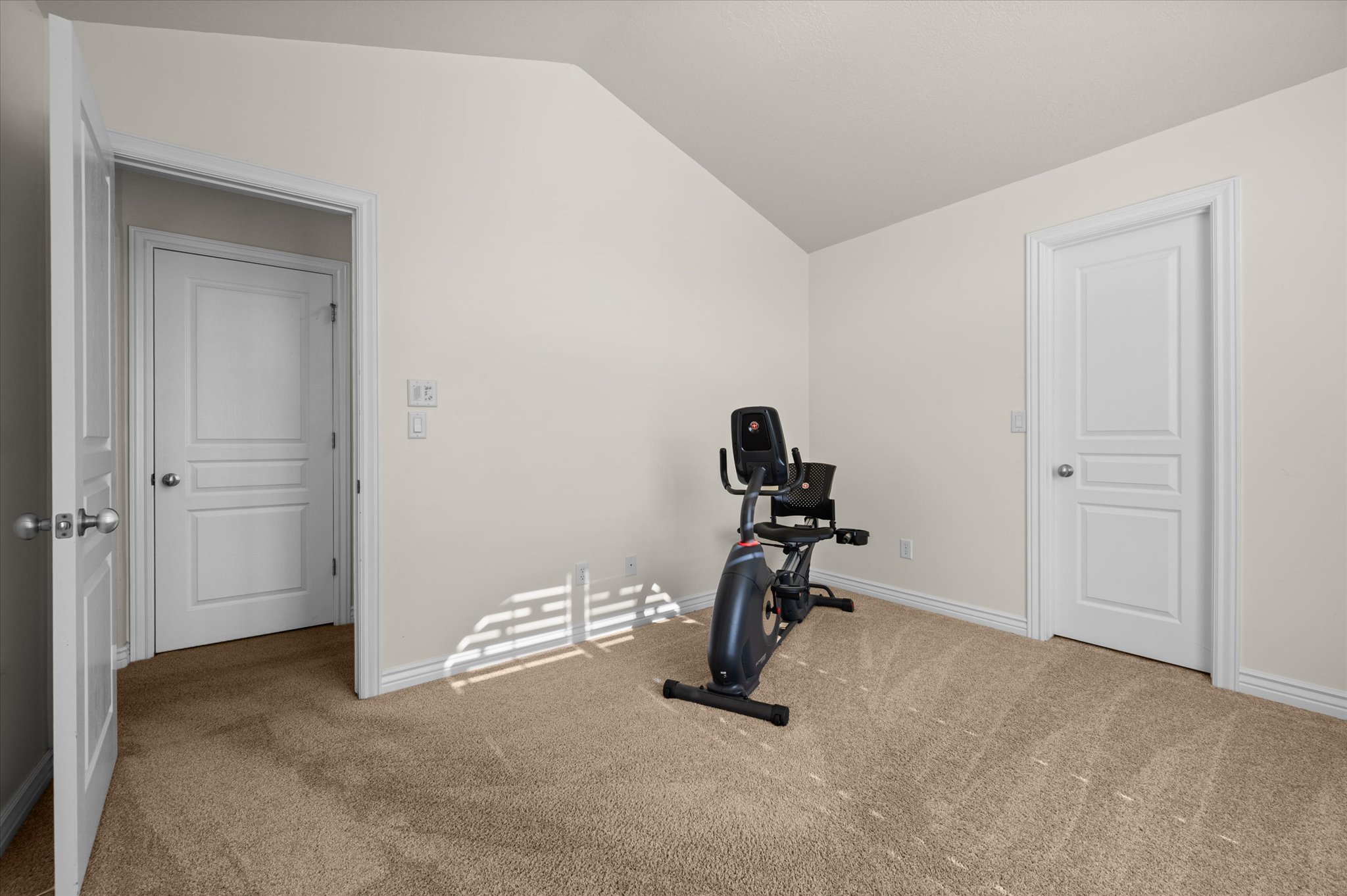Carpeted room featuring a vaulted ceiling, light-toned walls, and multiple panel doors with white trim
