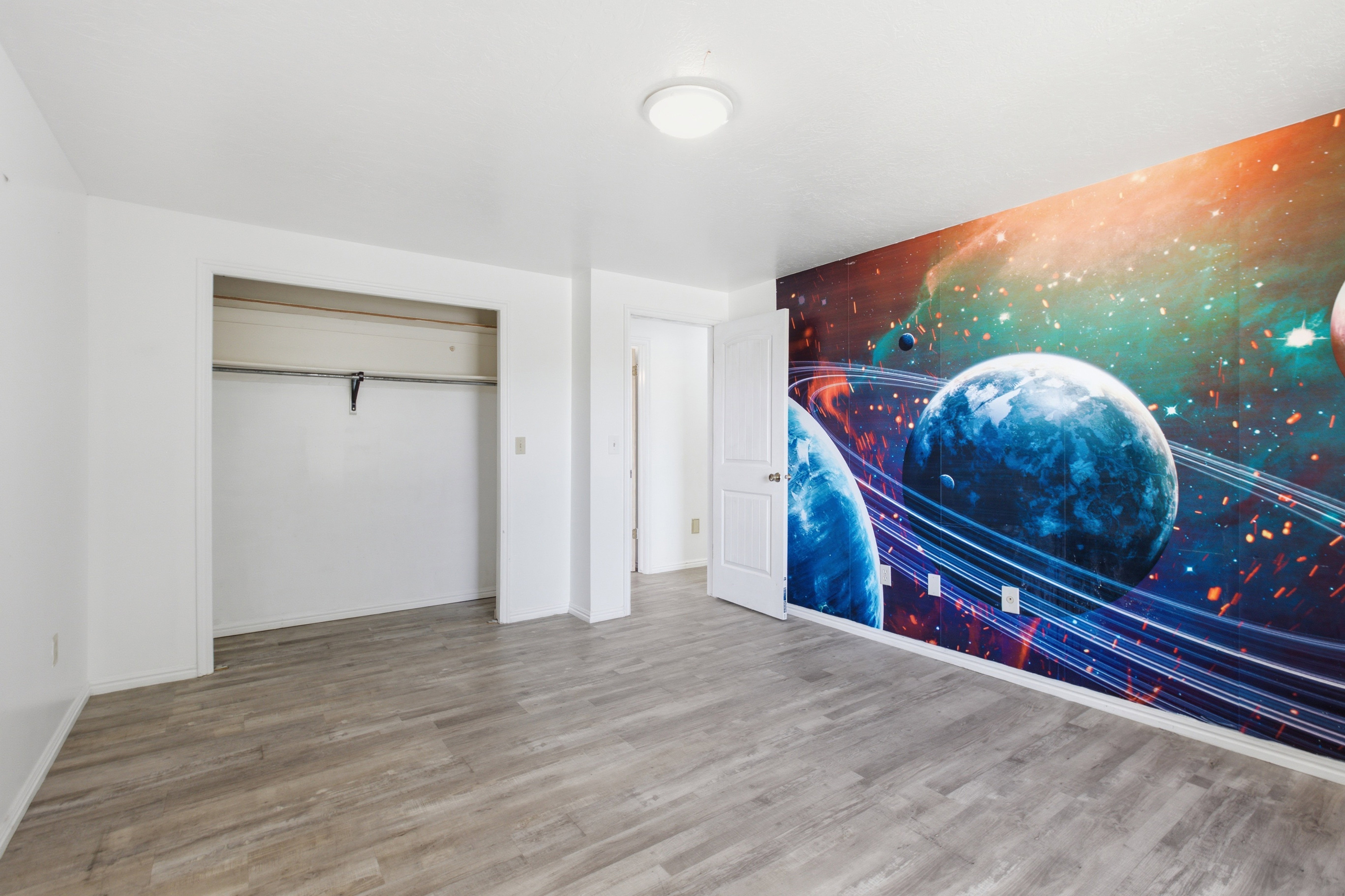 Bedroom featuring a prominent celestial-themed accent wall, wood-finish flooring, a built-in closet with shelving and hanging rod, a flush-mount ceiling light, and a paneled interior door