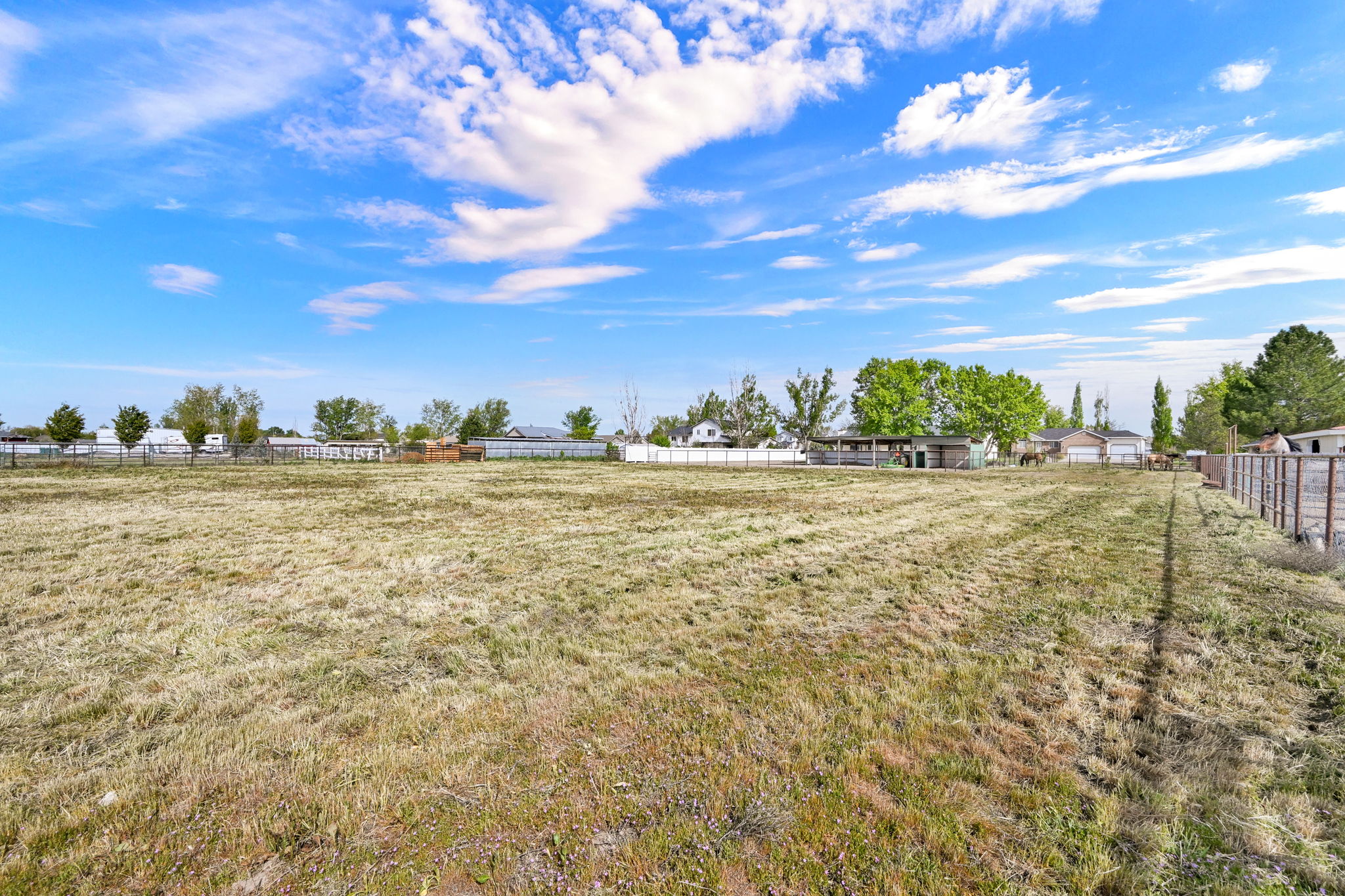 Expansive undeveloped land parcel featuring natural grass, partial perimeter fencing, and mature trees in the background