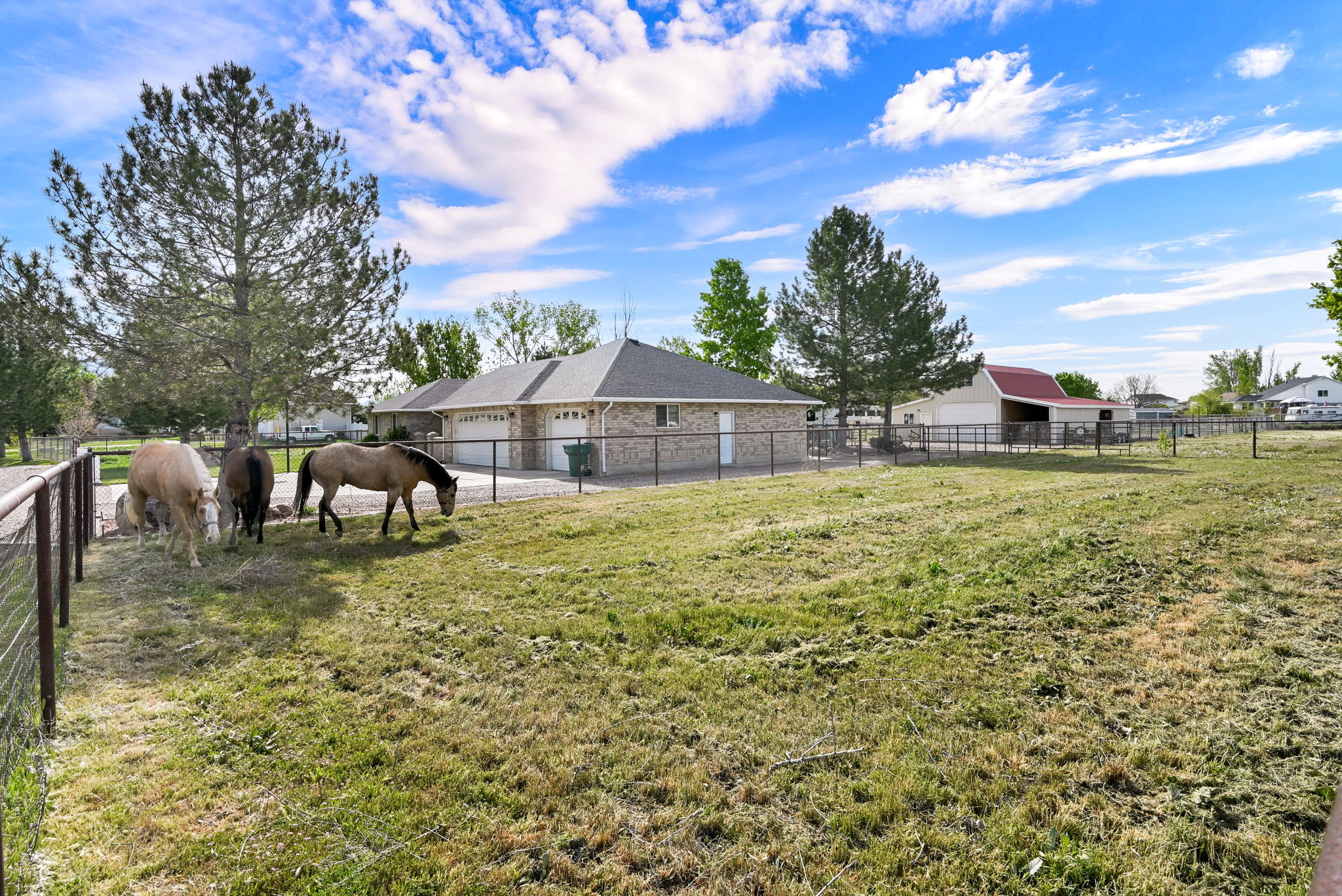 Expansive fenced paddock with a barn structure and mature trees