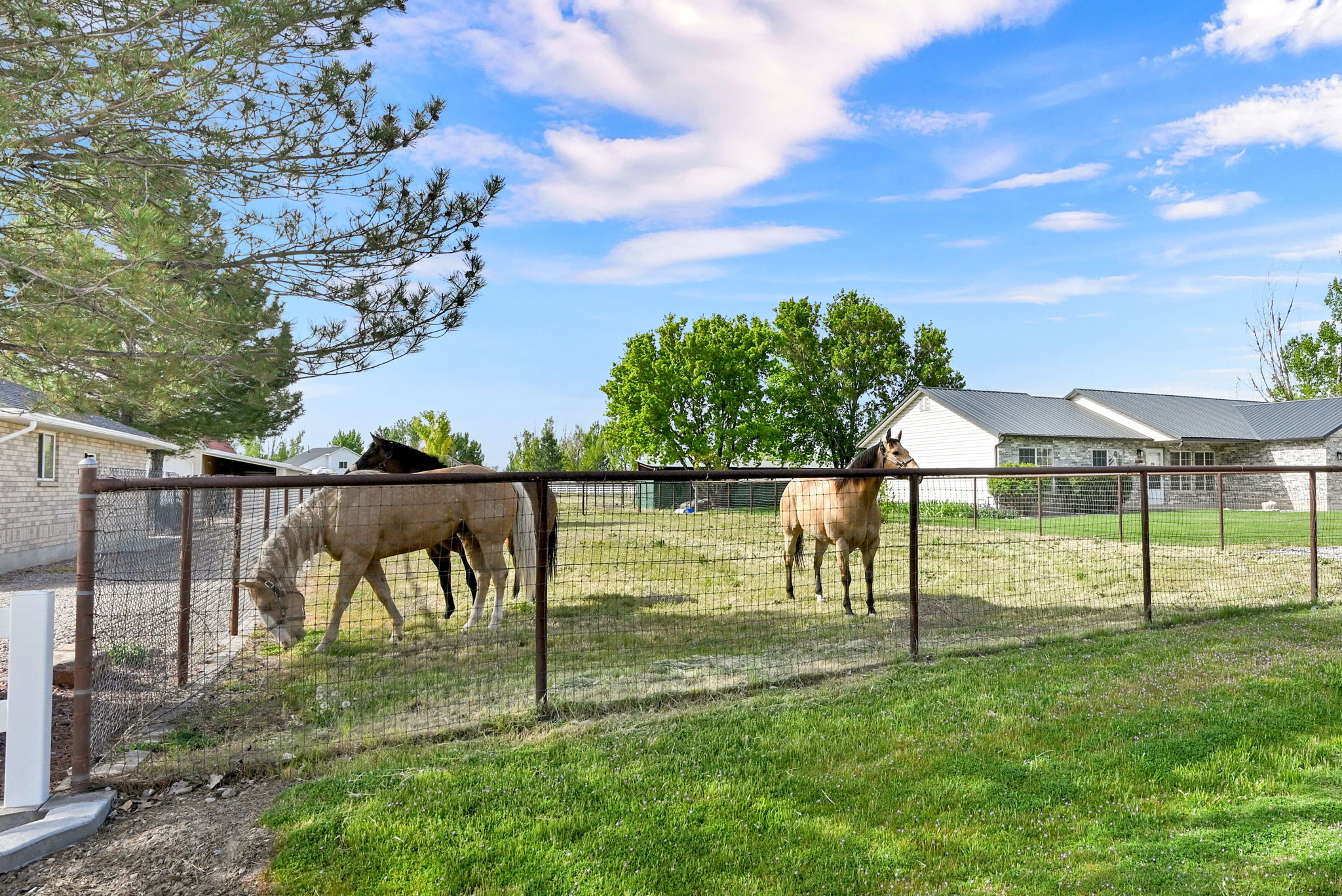 Fenced pasture with green grass and mature trees, featuring a stone-clad residence with a dark roof and white siding accents