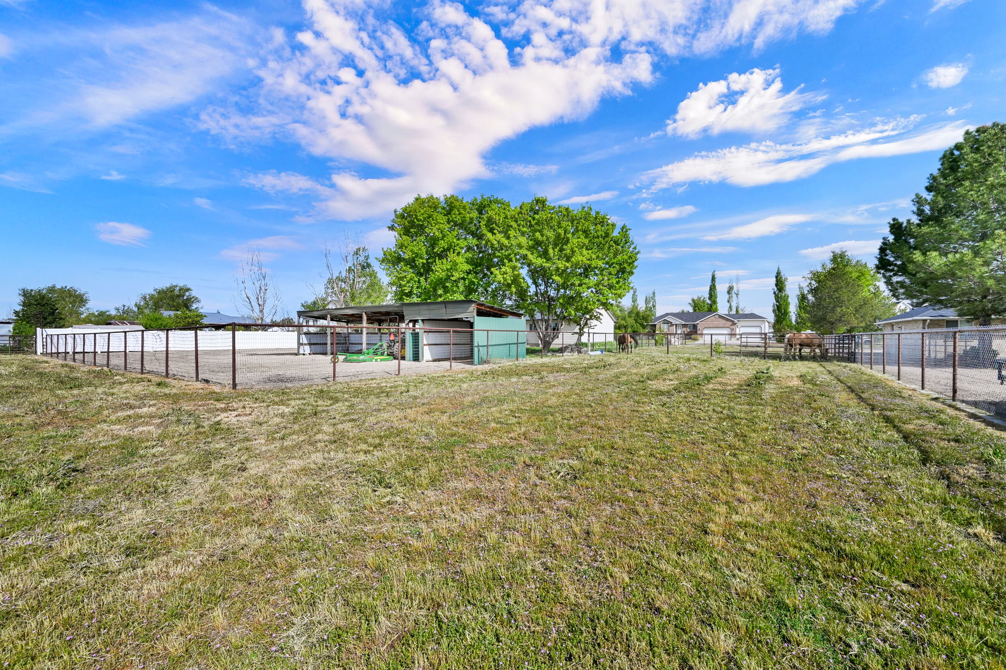 Expansive outdoor area featuring an equestrian arena with a white perimeter fence, a covered shelter, mature trees, and wire fencing