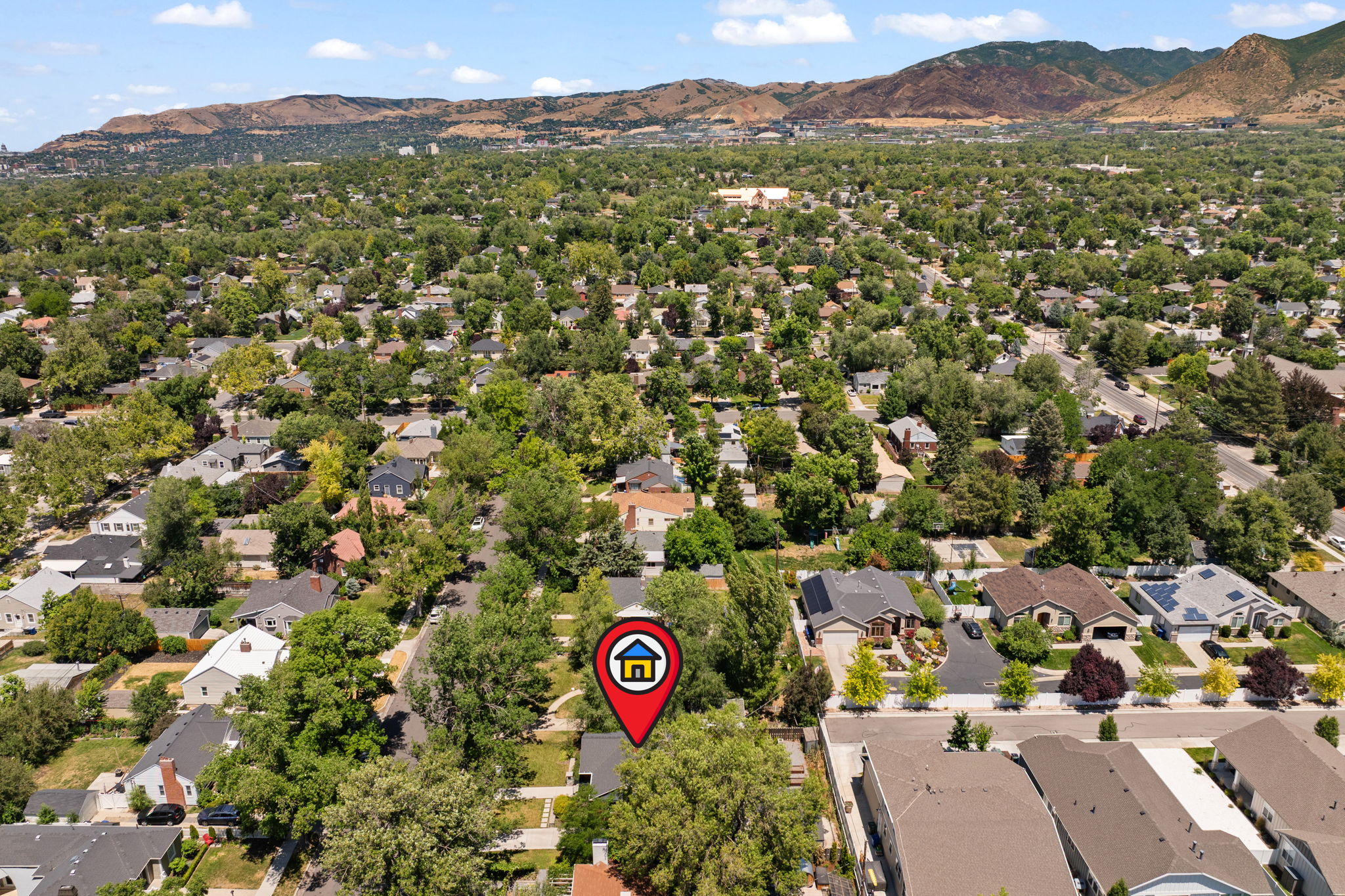 Residential neighborhood with mature tree canopy and distant mountain backdrop