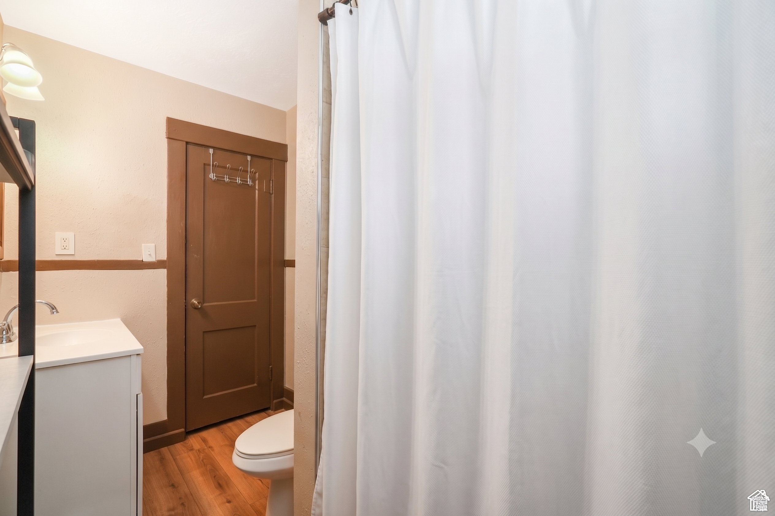 Bathroom featuring wood-finish flooring and a white vanity with an integrated sink