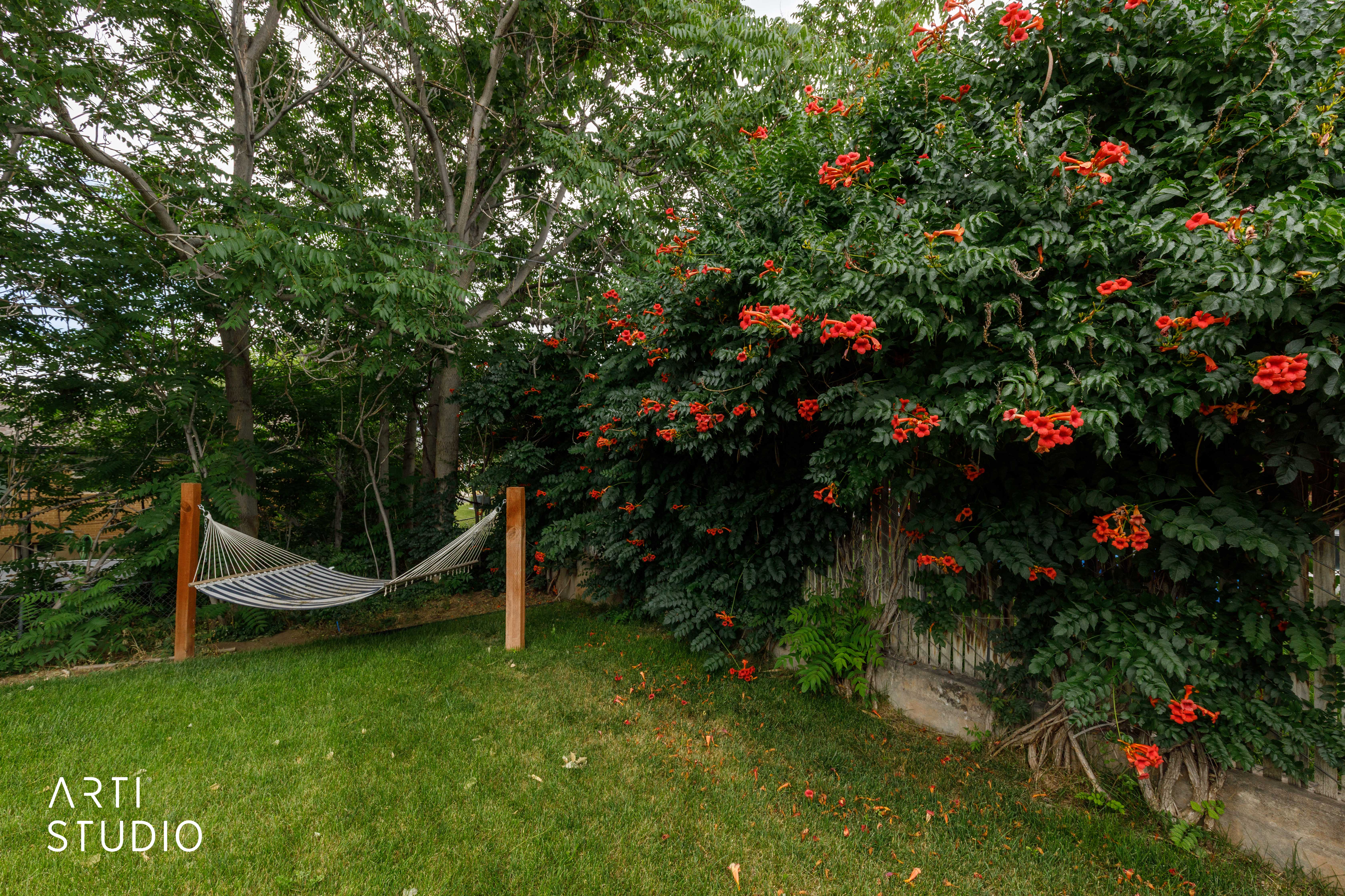 Manicured lawn with mature trees and vibrant flowering shrubs