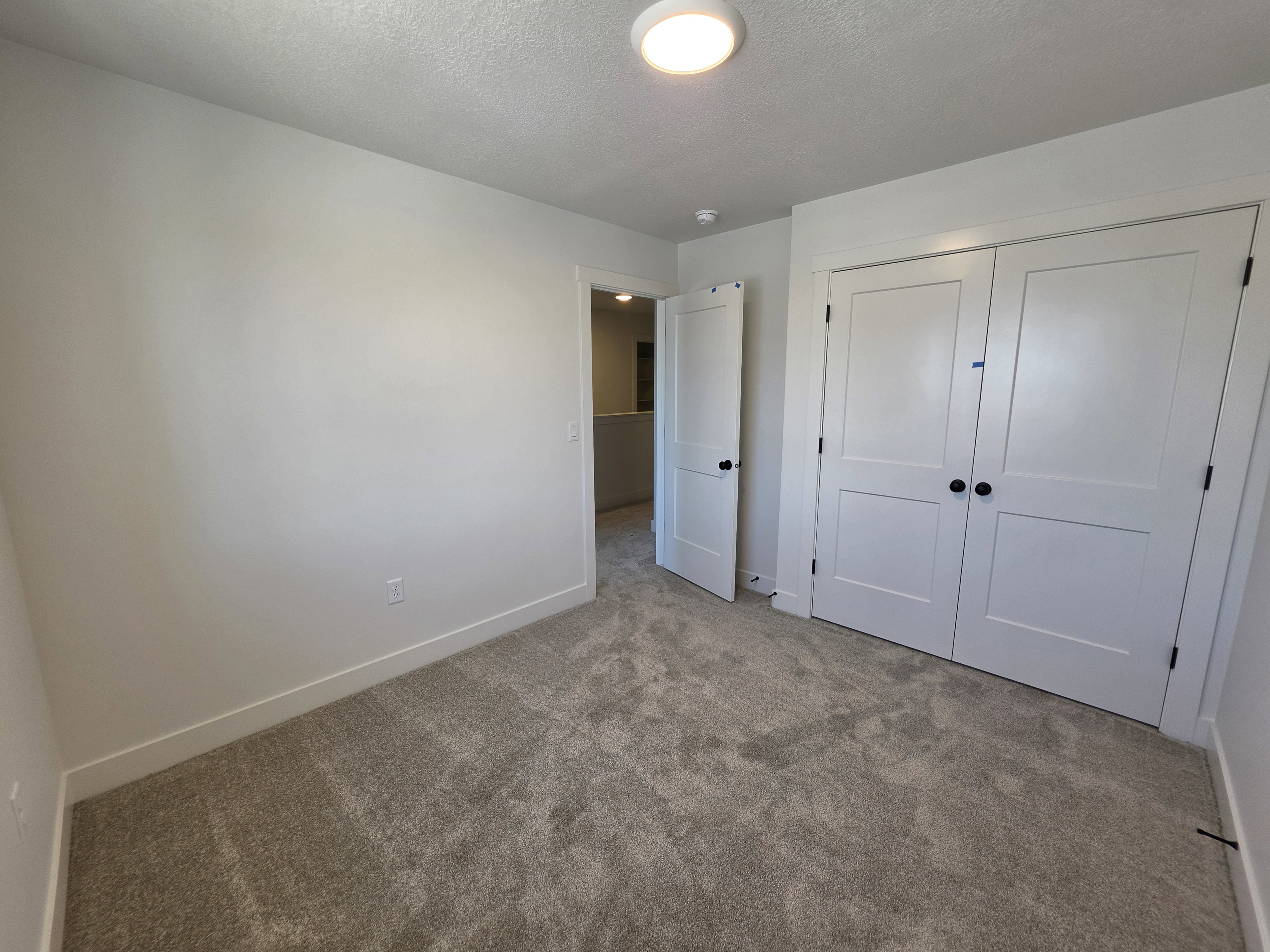 Carpeted room featuring a double-door closet with black hardware, white trim, and a flush mount ceiling light