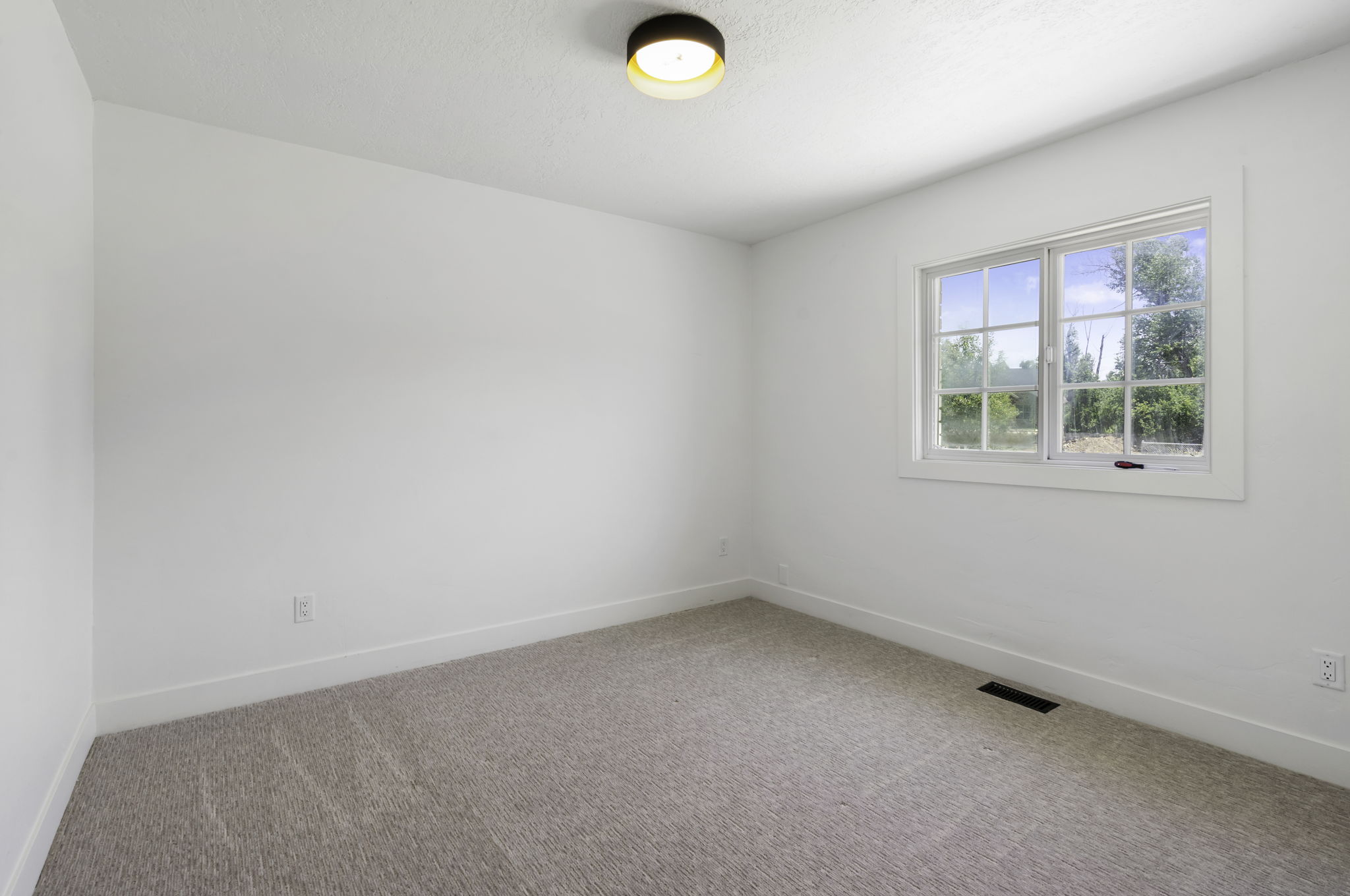 Bright room featuring a window with white trim, neutral carpet, and a flush-mounted ceiling light fixture