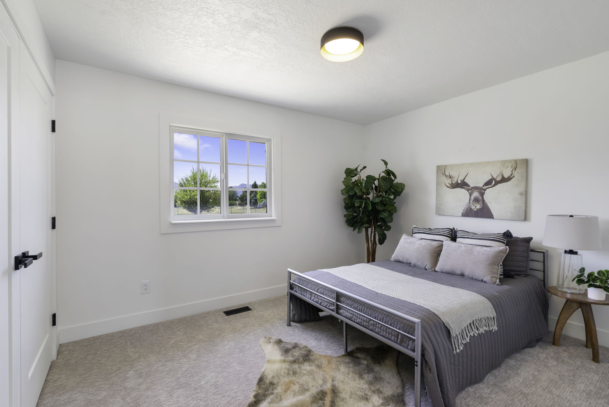 Bright bedroom featuring a large window with white muntins, carpeted flooring, and a flush-mount ceiling light