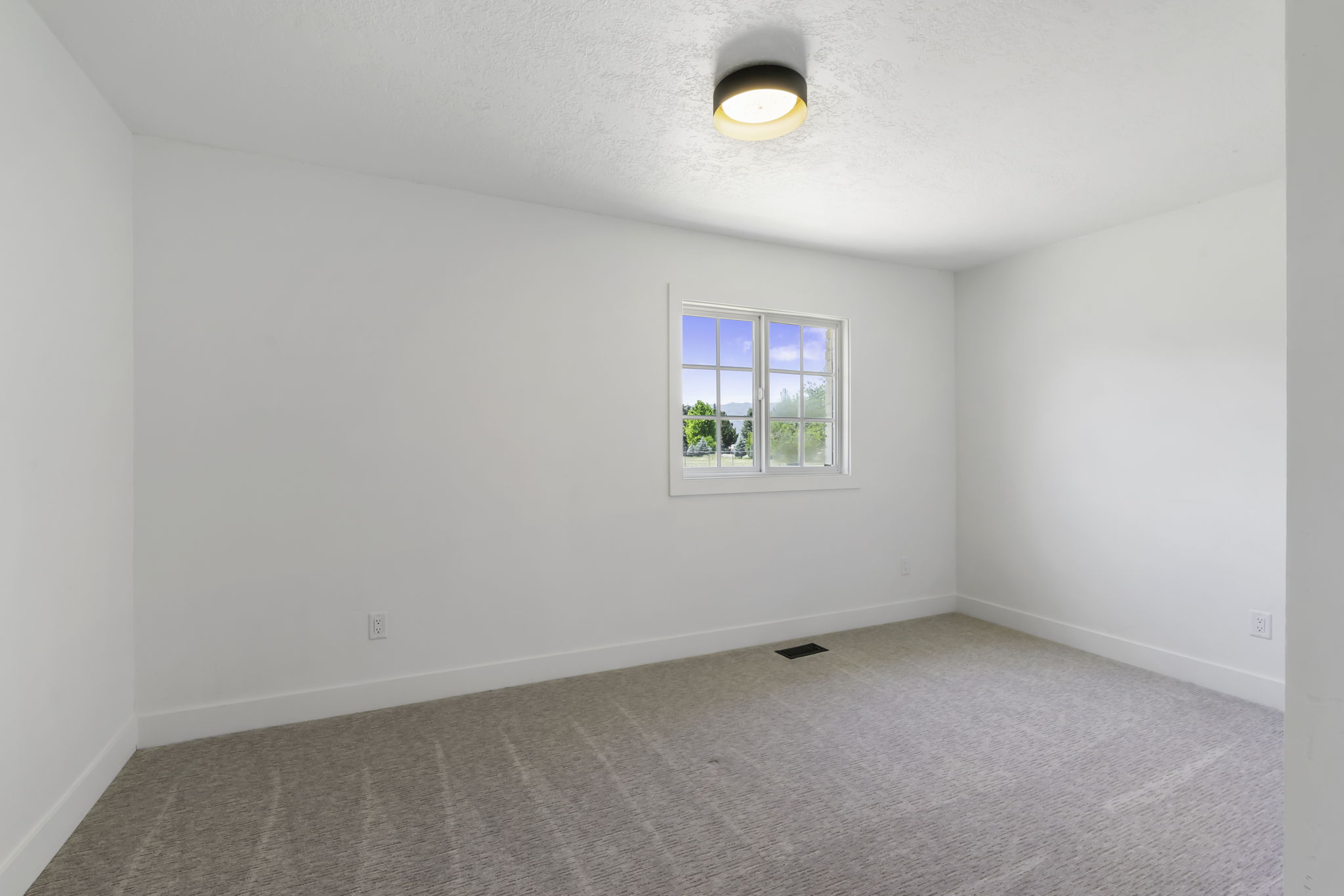 Bright room featuring a single window with gridded panes, a neutral carpeted floor, white walls, and a contemporary flush-mount ceiling light