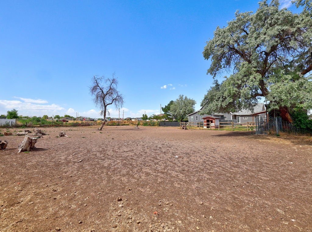 Expansive open land area with a mature tree