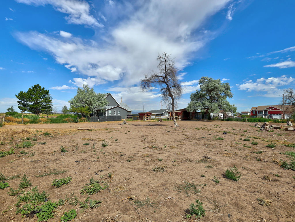 Expansive undeveloped lot with scattered green foliage