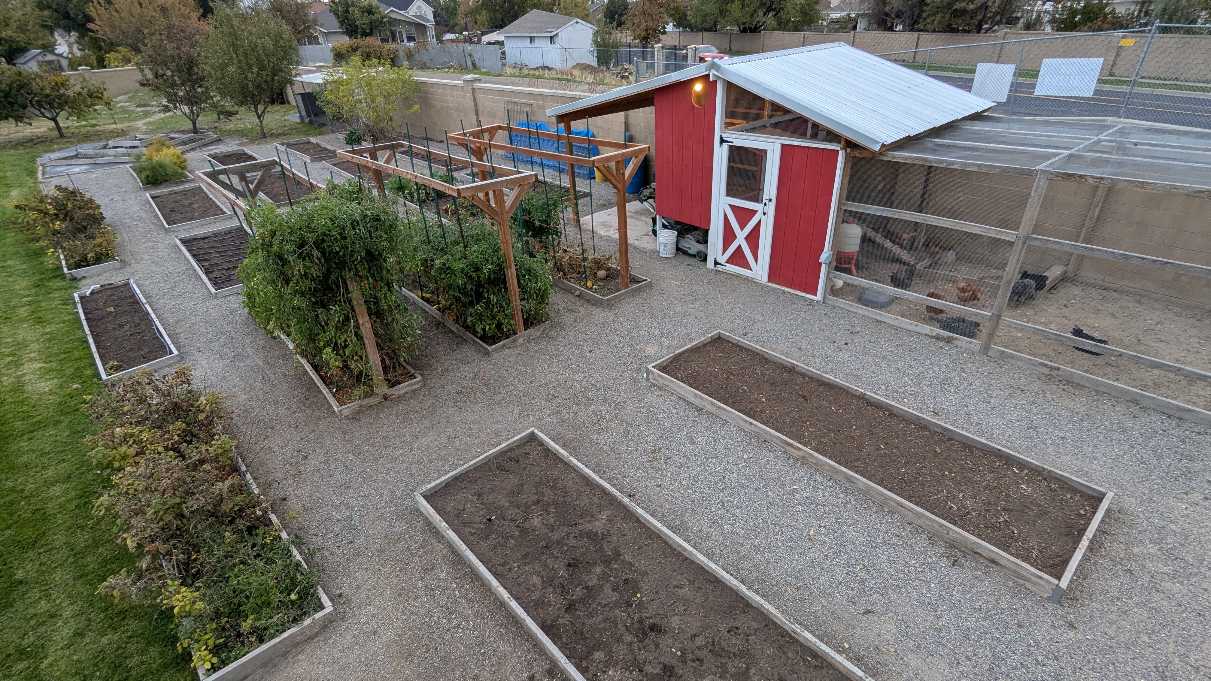 Expansive outdoor space featuring a red chicken coop with a metal roof, an enclosed chicken run, multiple raised garden beds, established garden trellises, and gravel pathways