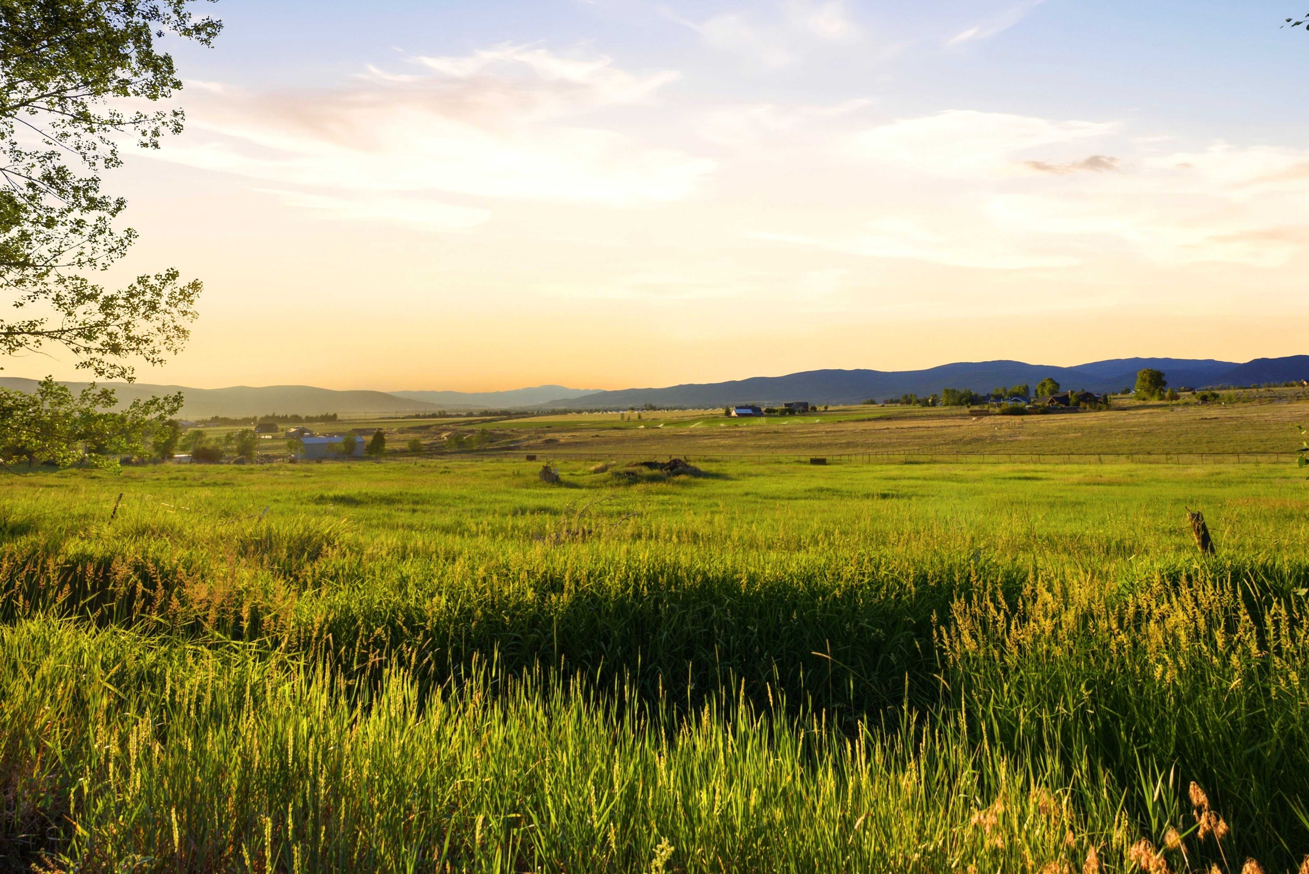 Expansive green fields featuring natural grasses and distant mountain ranges