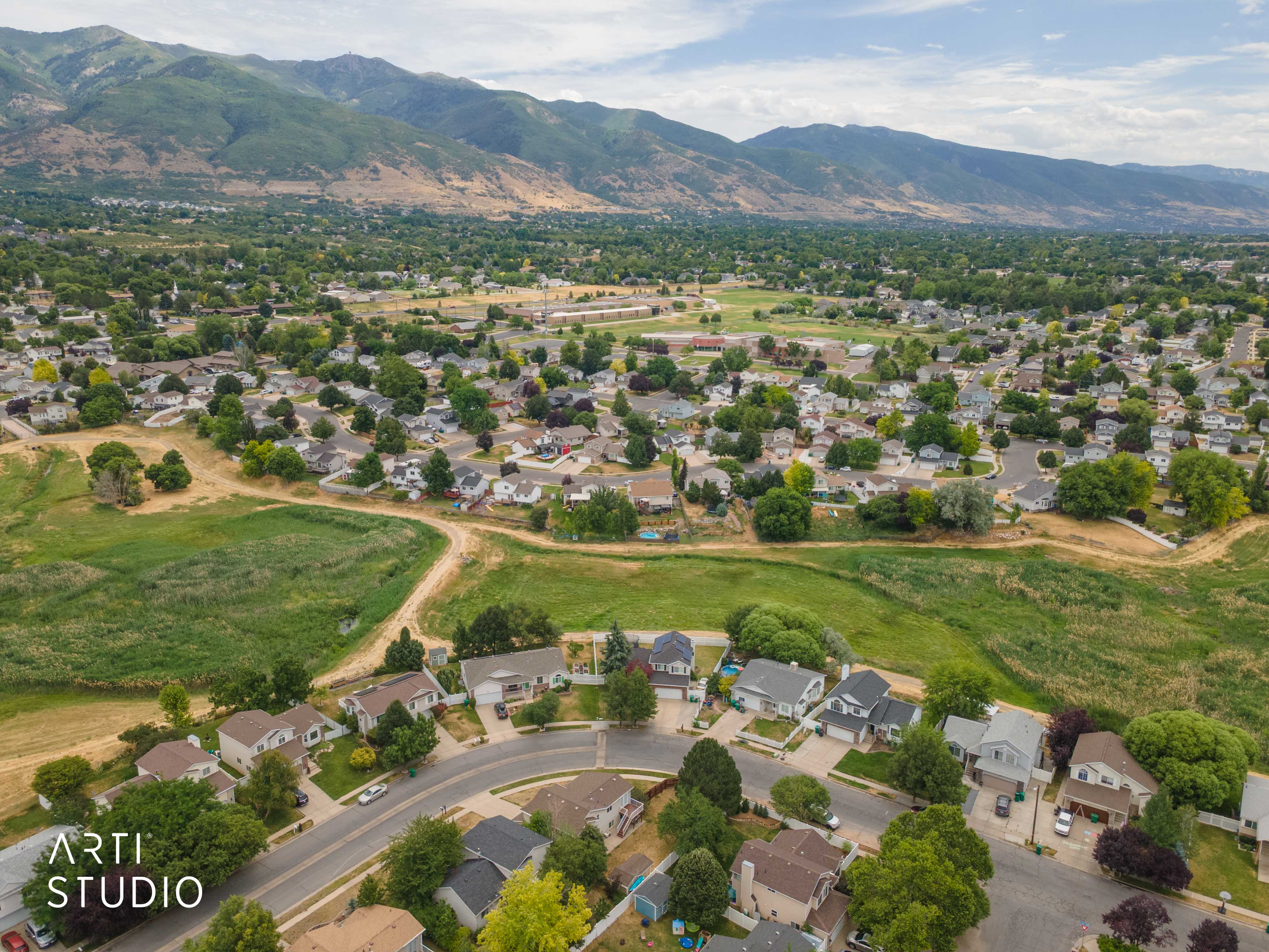 Residential neighborhood with mature trees and mountain scenery