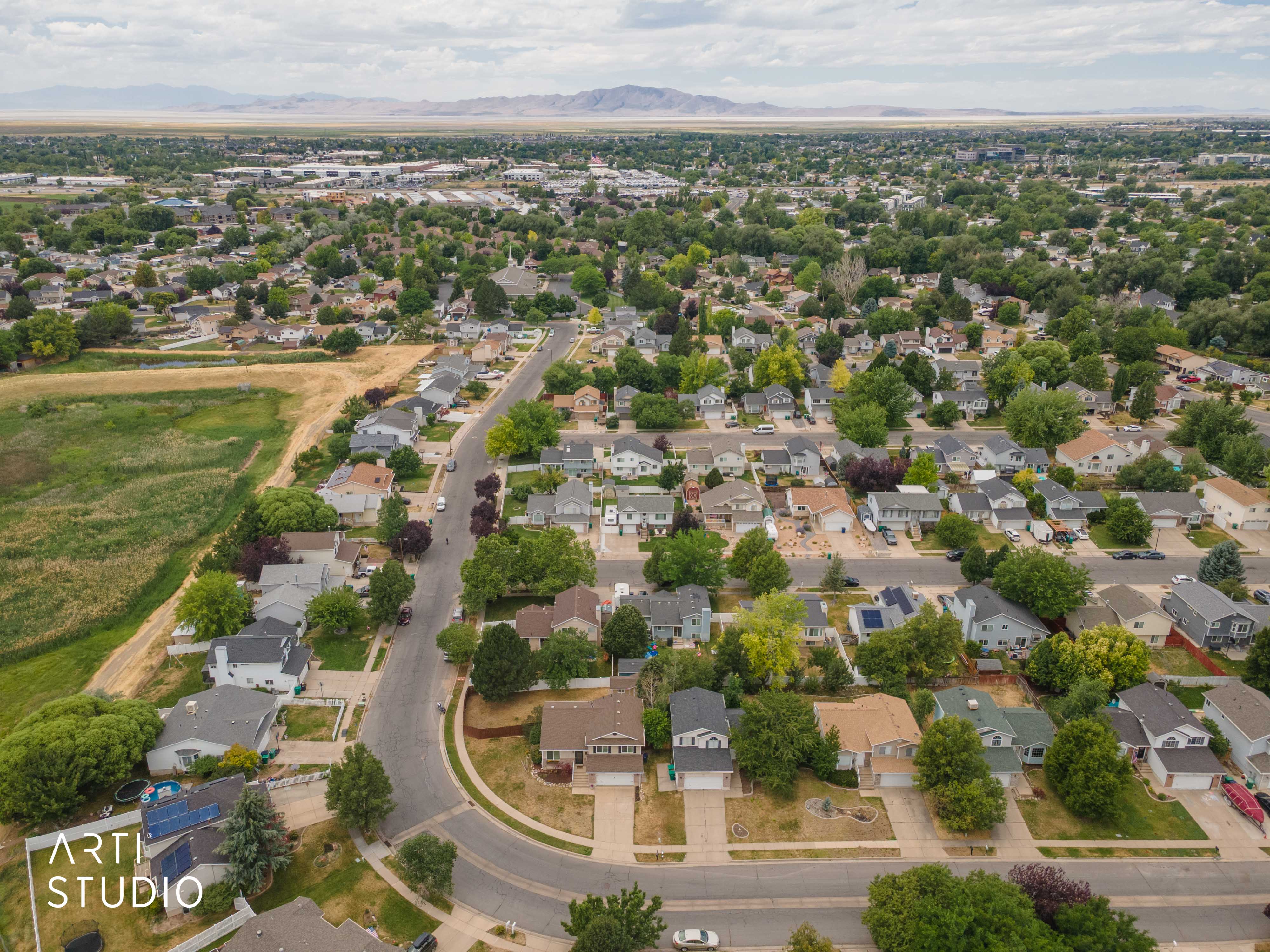 Aerial overview showcasing a residential neighborhood with mature trees and a curvilinear street layout