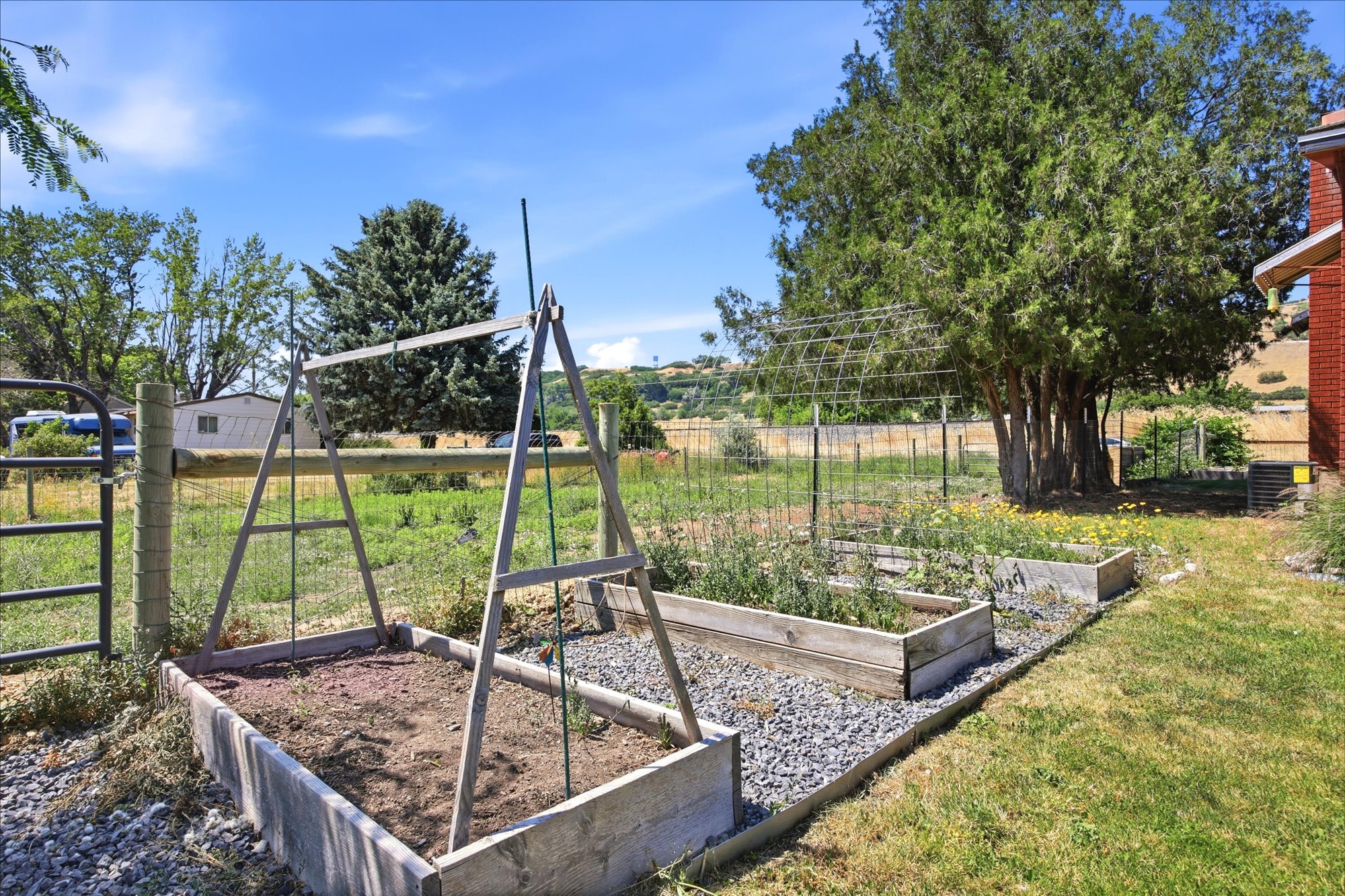 Garden area featuring multiple raised beds with wood surrounds, gravel pathways, and a wire trellis