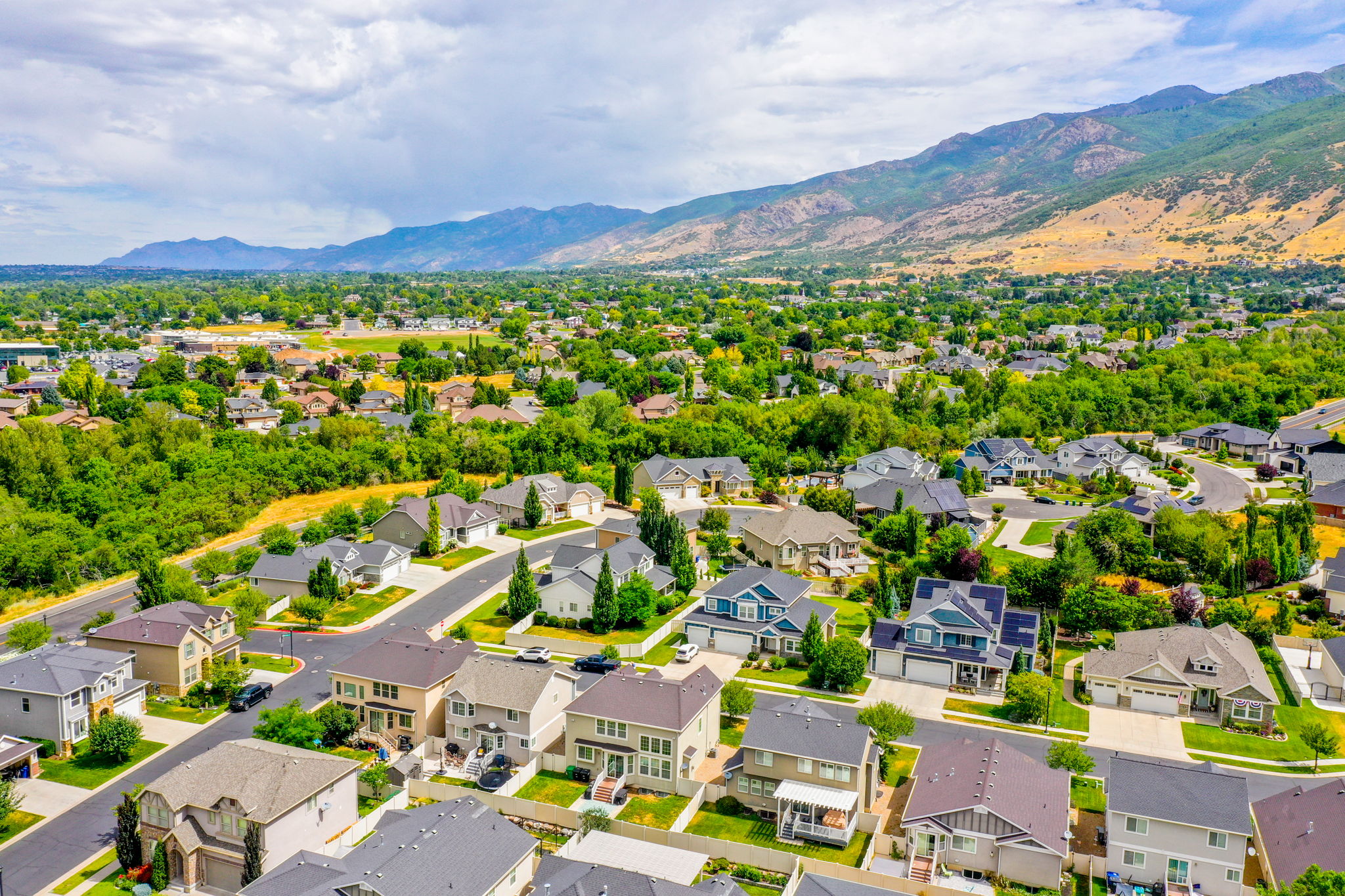 Expansive residential area featuring numerous single-family homes, mature trees, and paved streets