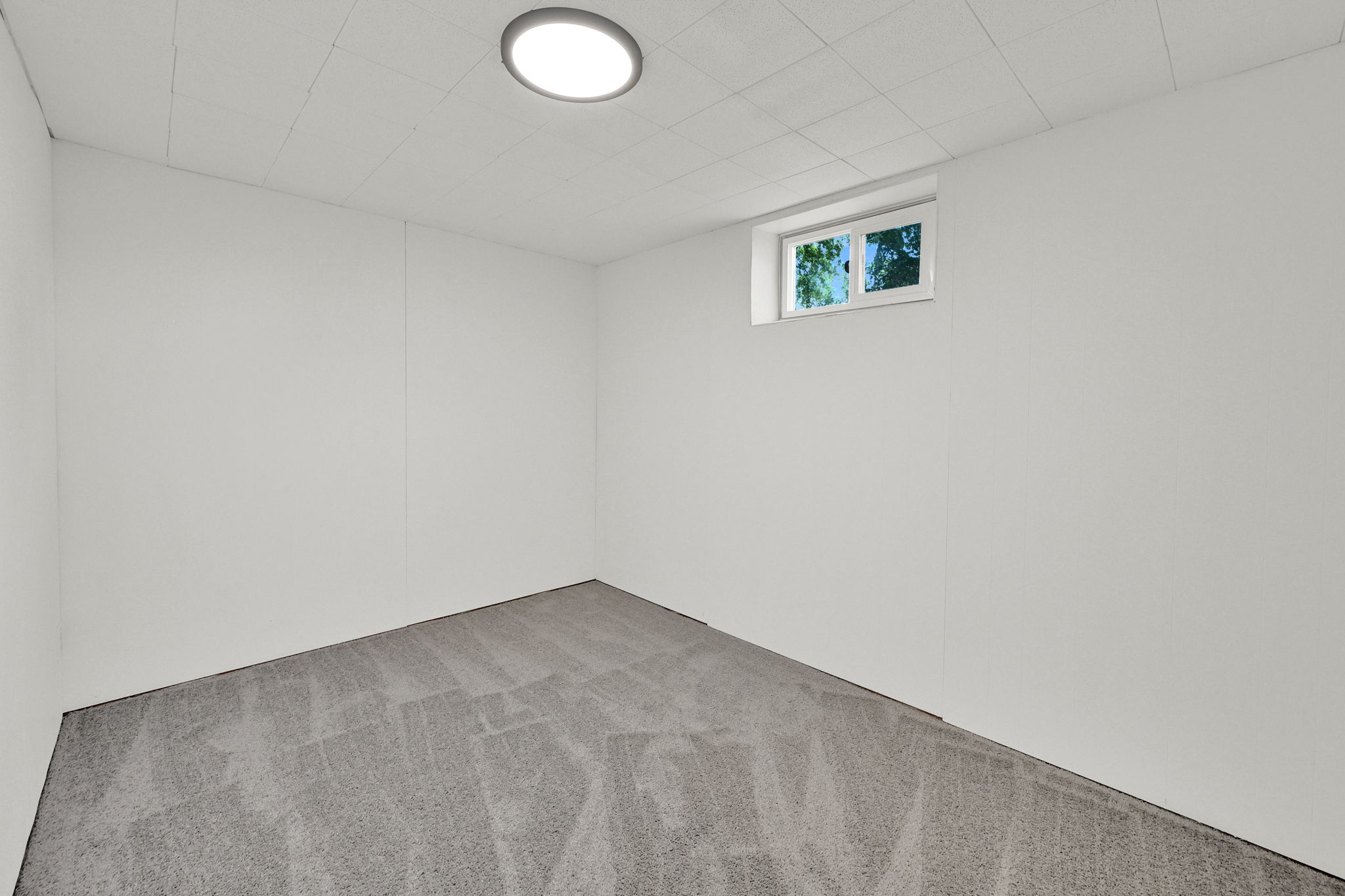 Room with white walls, a drop ceiling, and gray patterned carpeting
