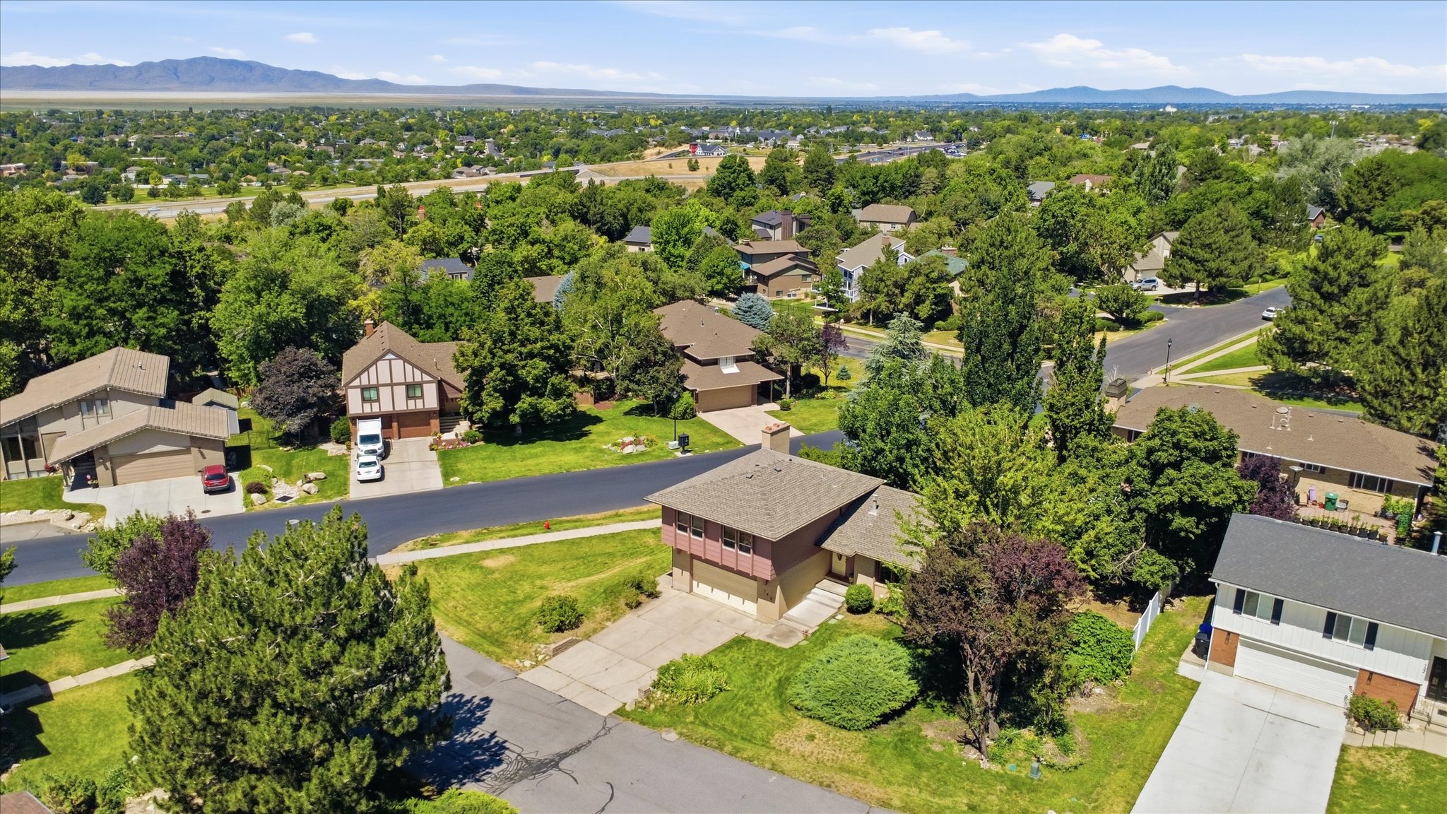 Aerial view showcasing a residential street lined with mature trees, established landscaping, and a variety of home styles