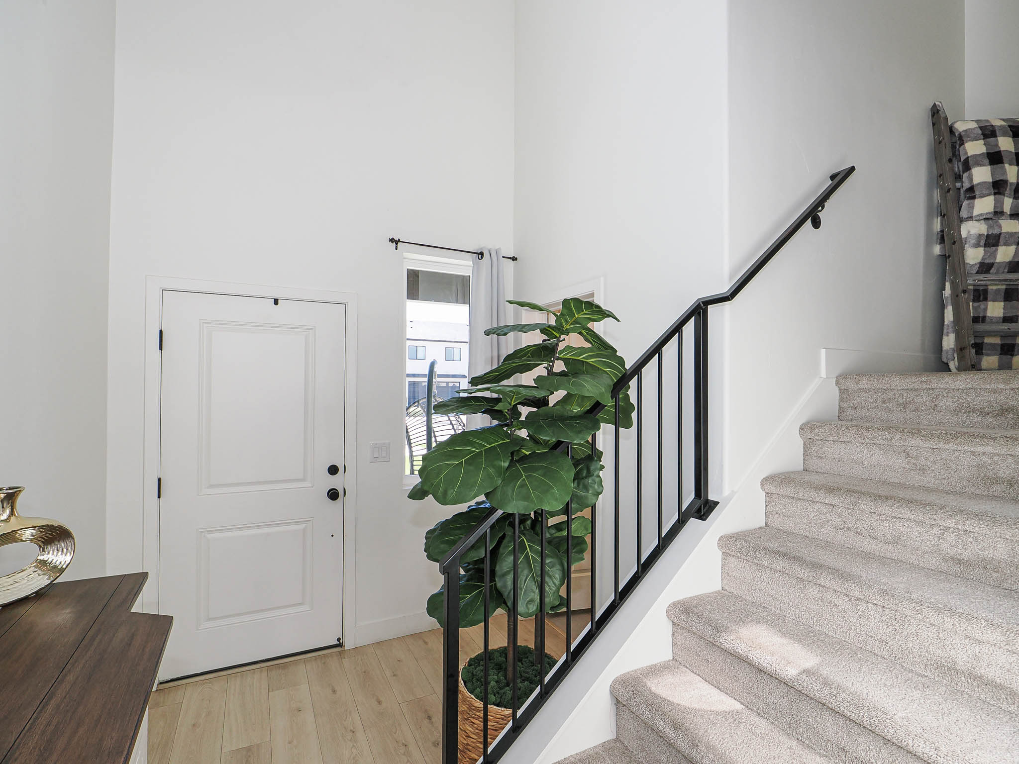 Two-panel white entry door with matte black hardware