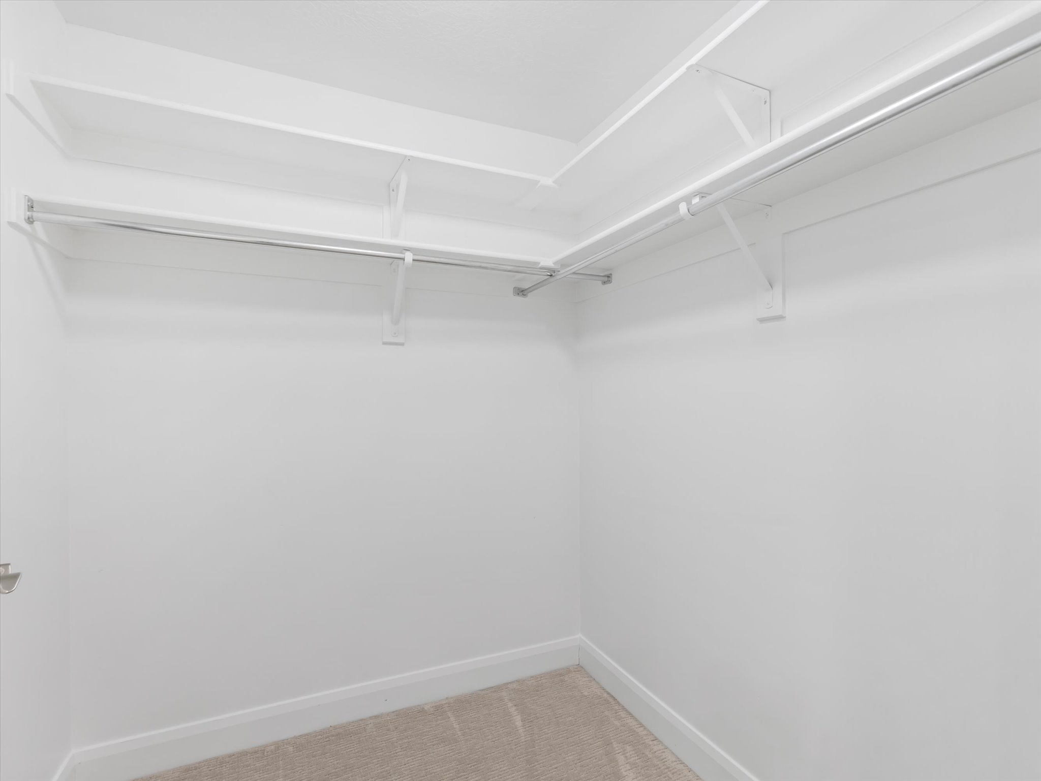 Walk-in closet featuring white walls, white shelving, metal hanging rods, and carpeting