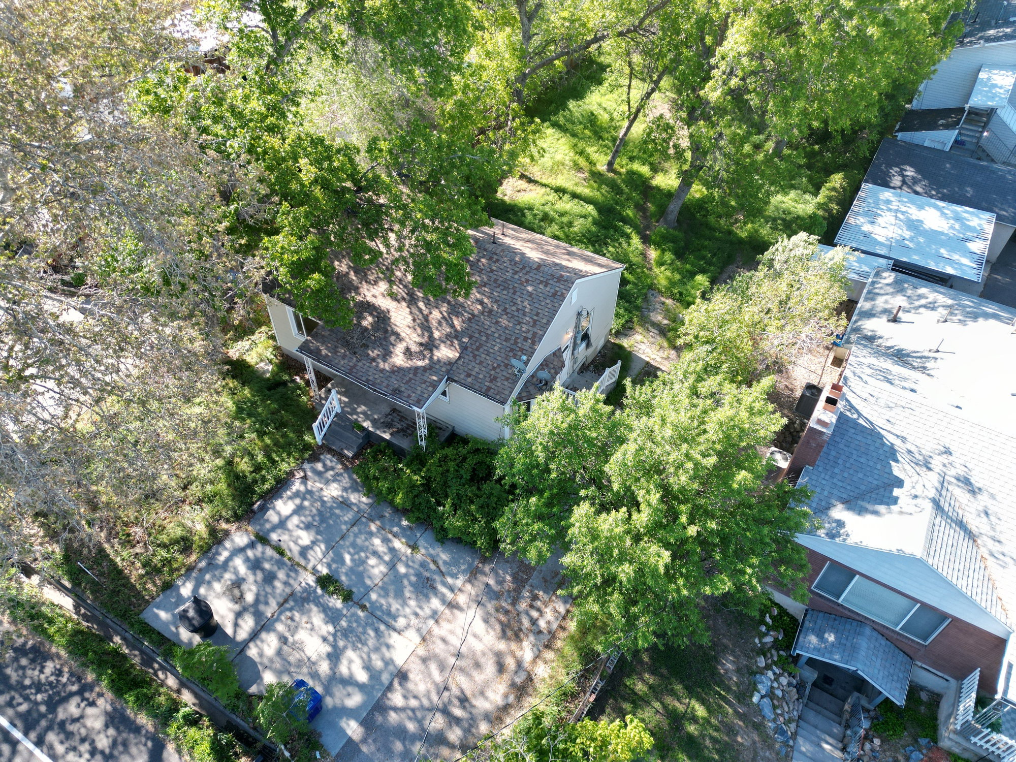 Single-story residence with a pitched shingle roof, surrounded by mature trees