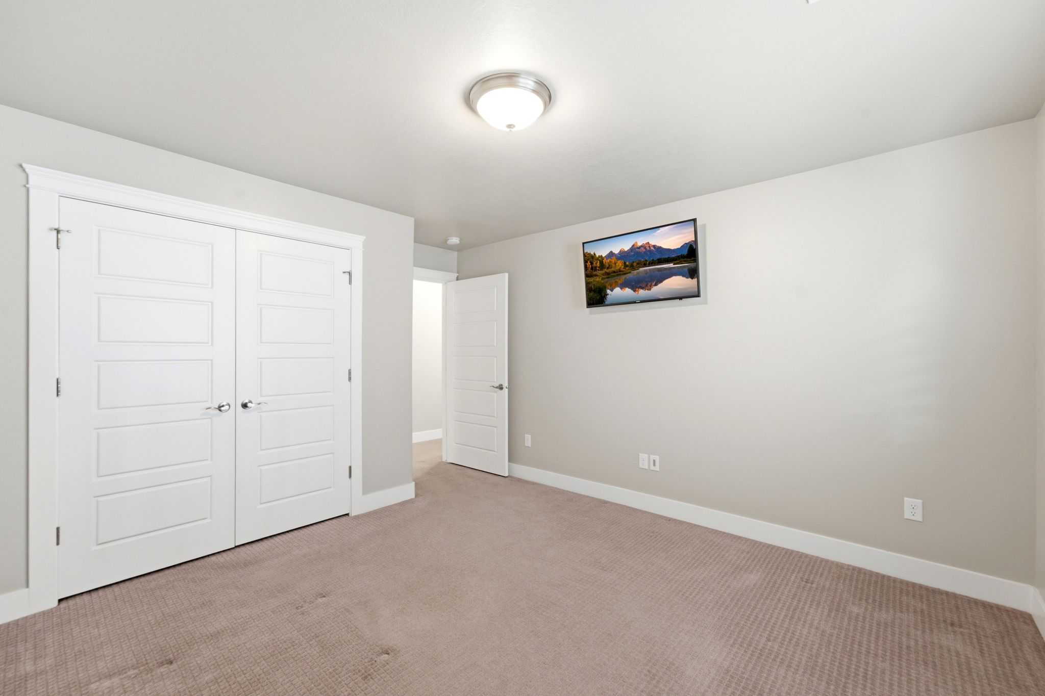 Neutral tone wall color, plush carpeting, ceiling-mounted light fixture, white trim, and a white paneled door