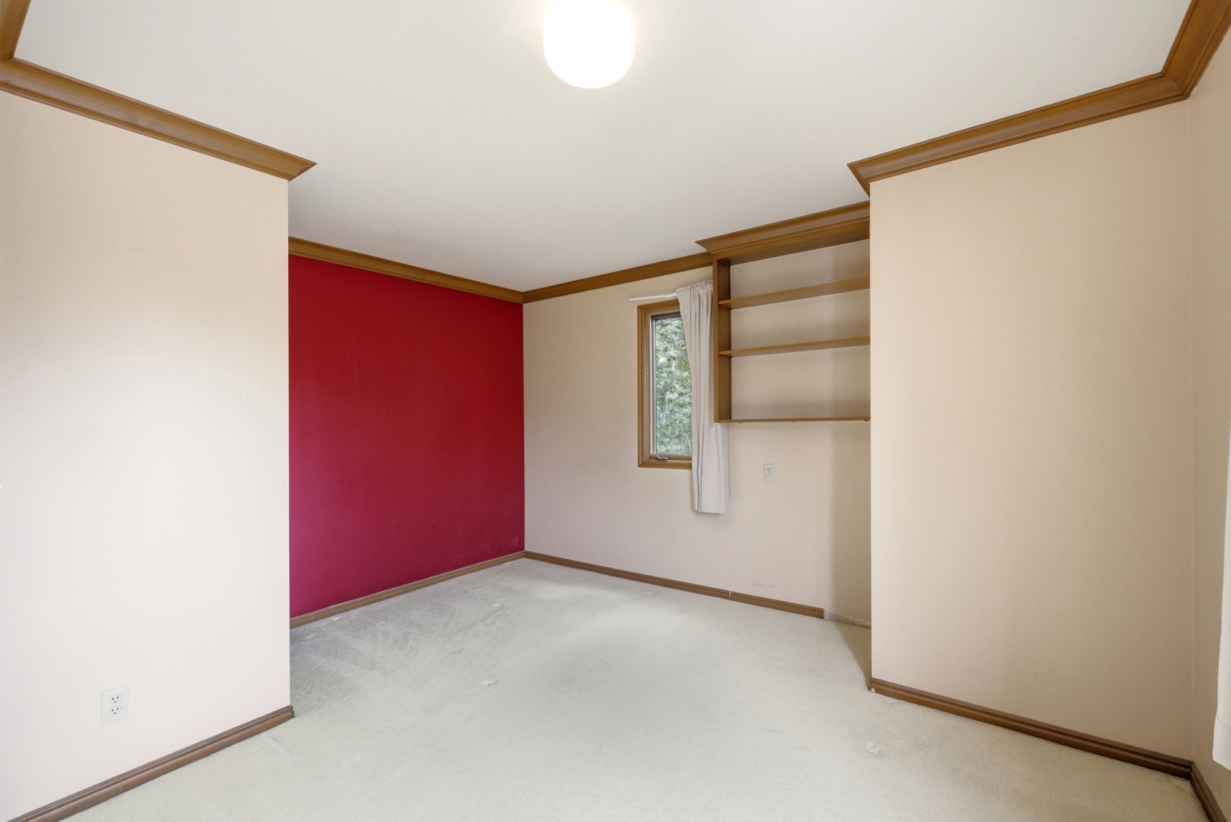 Neutral painted walls accented by a bold feature wall and wood-finish trim
