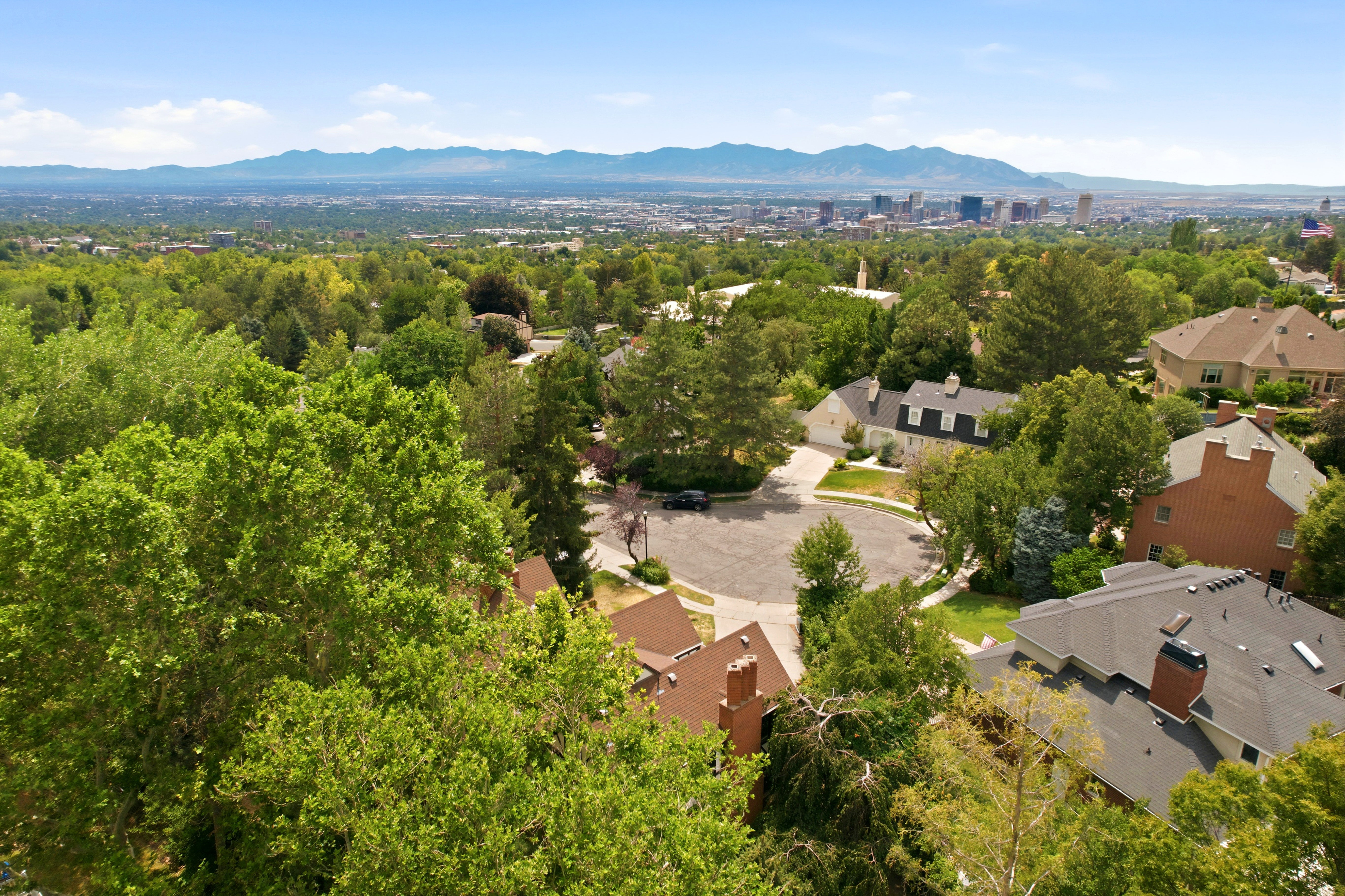 Expansive suburban landscape featuring mature trees and residential properties, with a distant city skyline and mountain range visible under a clear sky