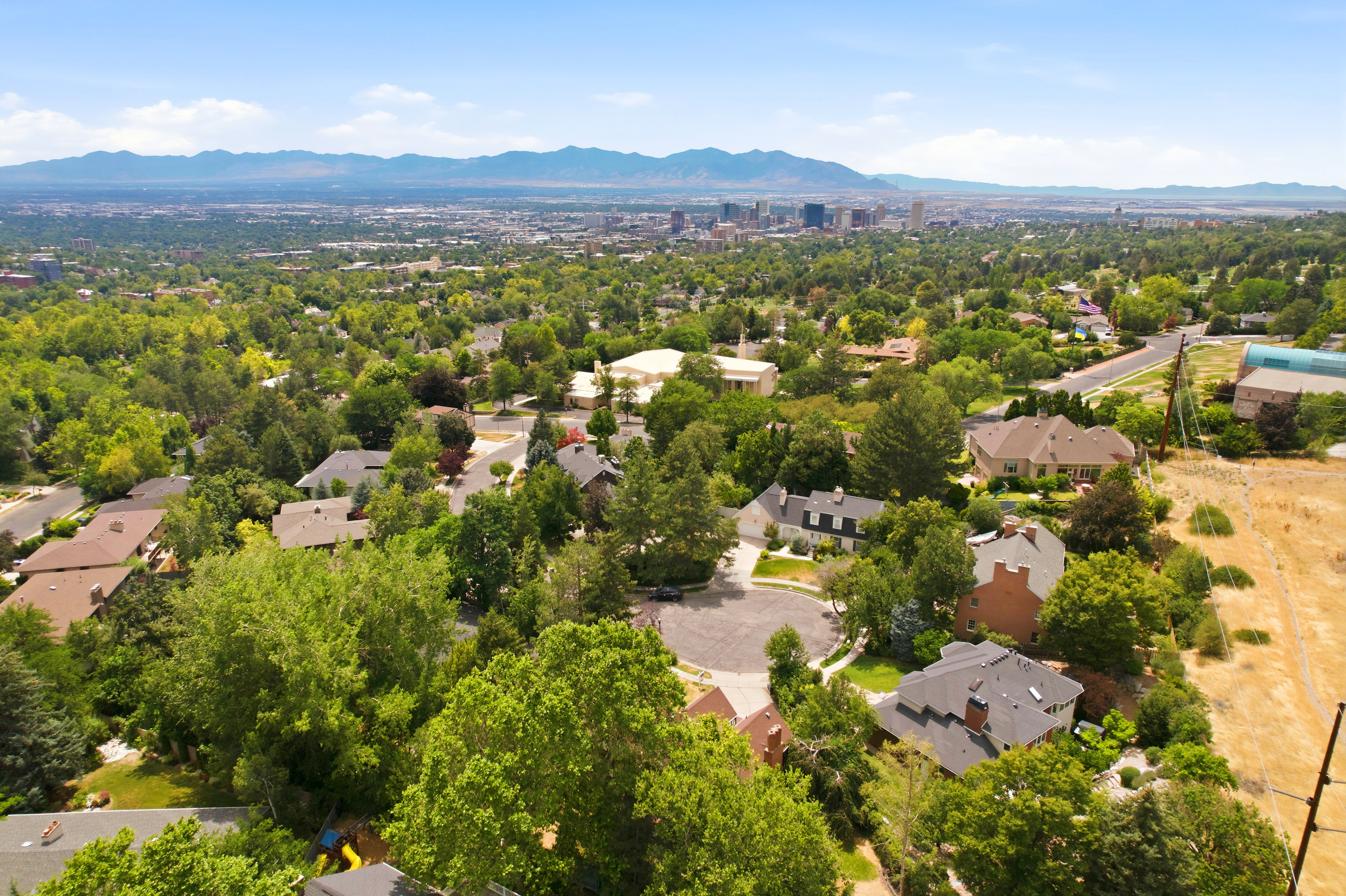 Expansive aerial perspective showcasing a residential area with mature tree coverage