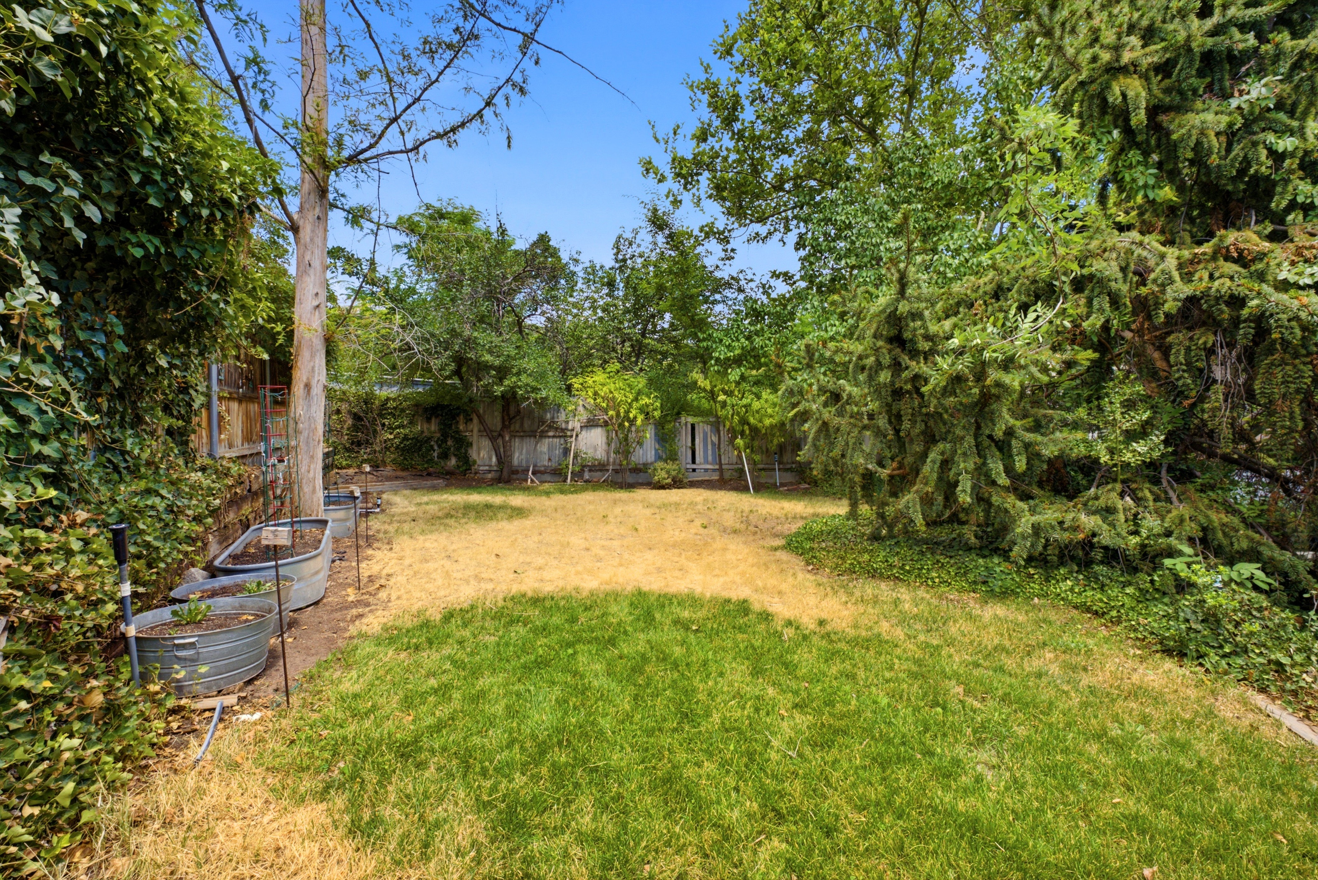 Expansive backyard featuring a combination of manicured and natural lawn areas, mature perimeter trees, established shrubbery, and raised garden beds
