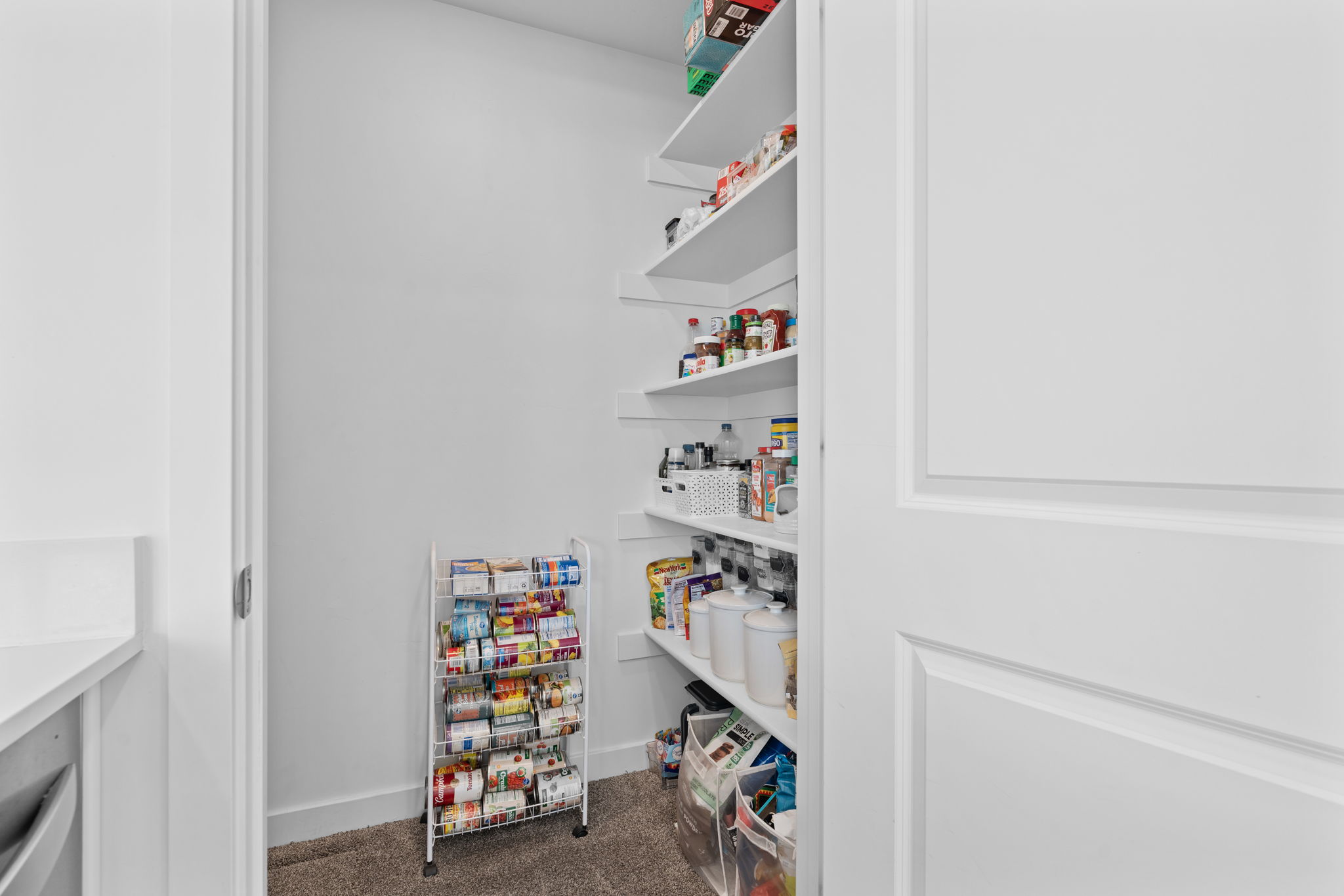 Large Walkin Pantry.