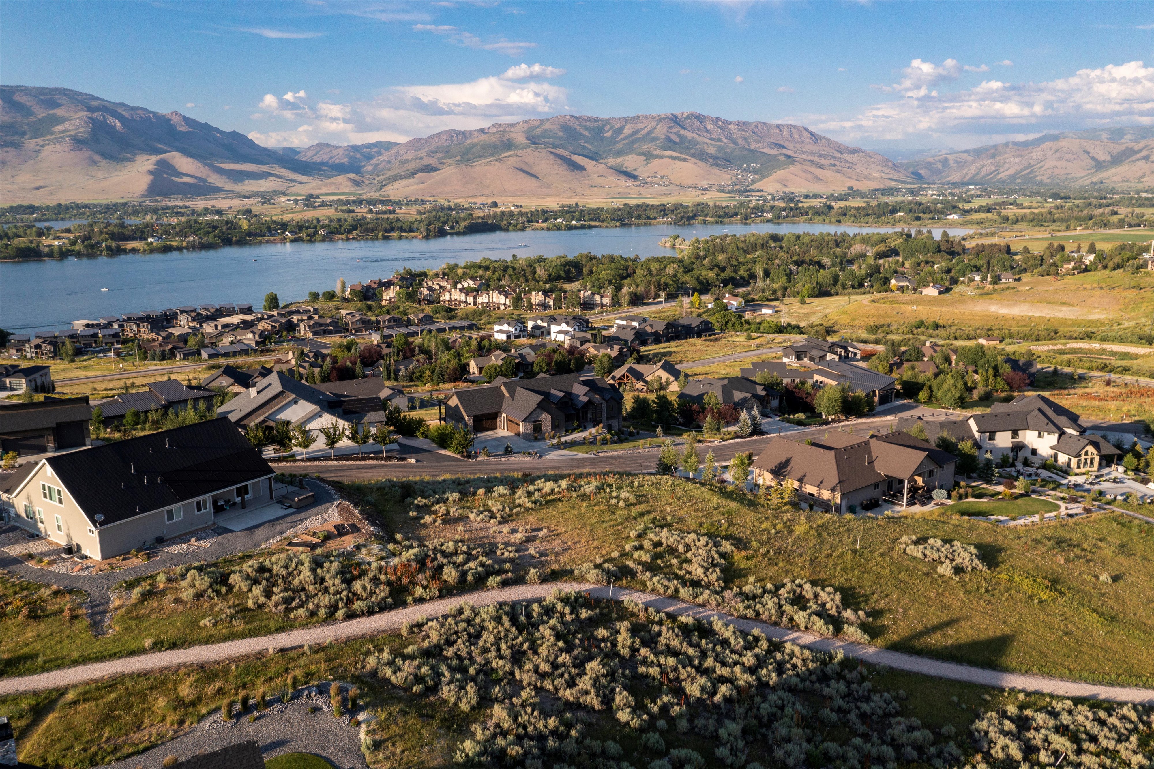Expansive aerial showcasing a residential neighborhood with varied architectural styles