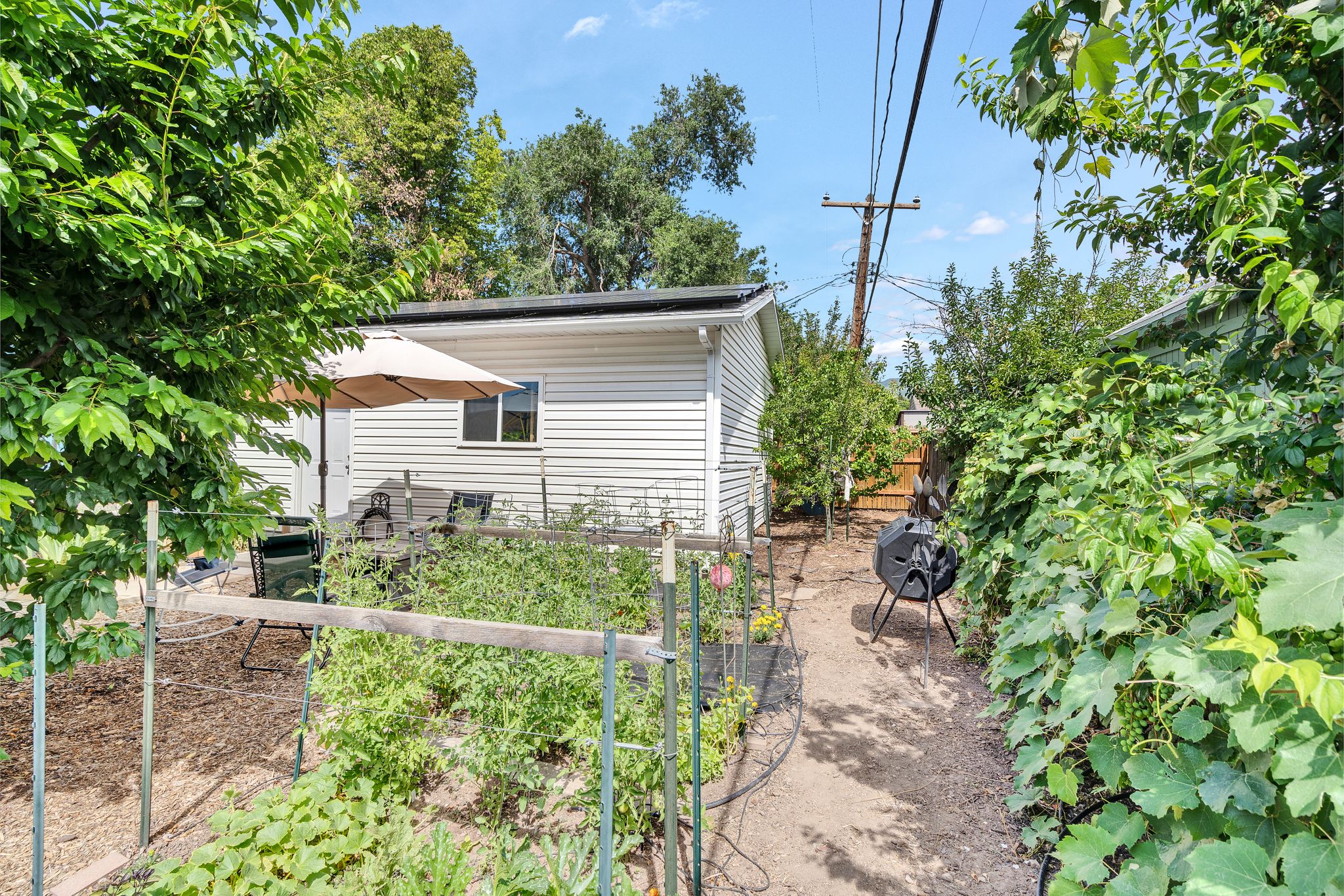 back vegetable garden