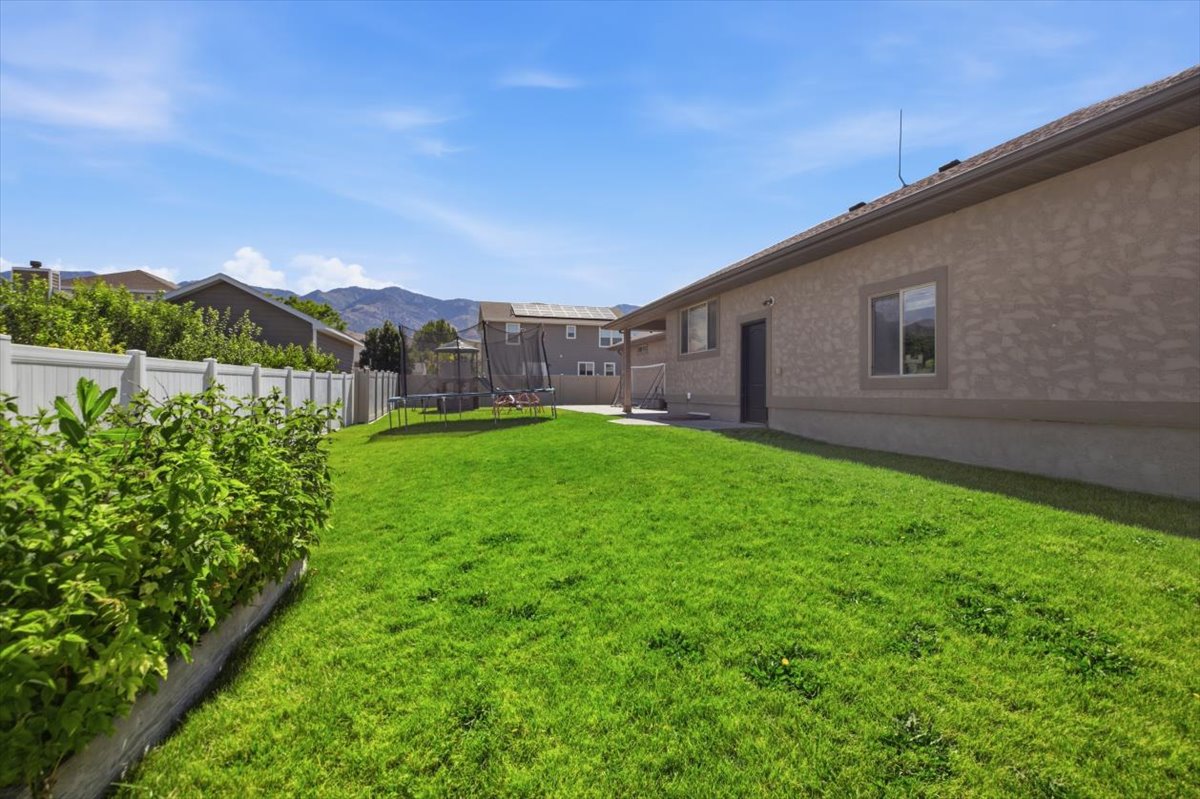 Expansive green lawn bordering a stucco-sided residence with multiple windows and a rear entry door