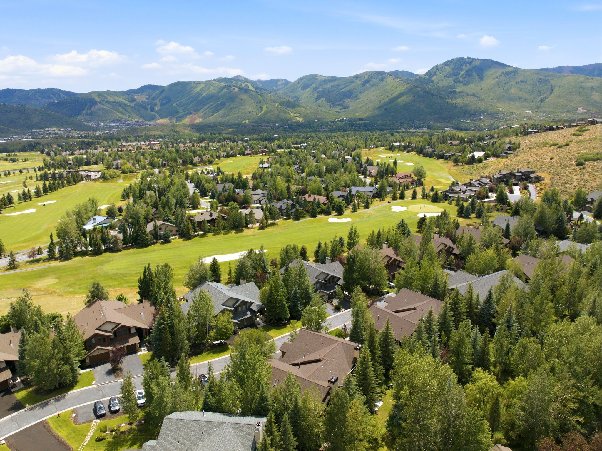 Expansive aerial of a residential community featuring multiple homes with dark roofing, surrounded by mature green trees