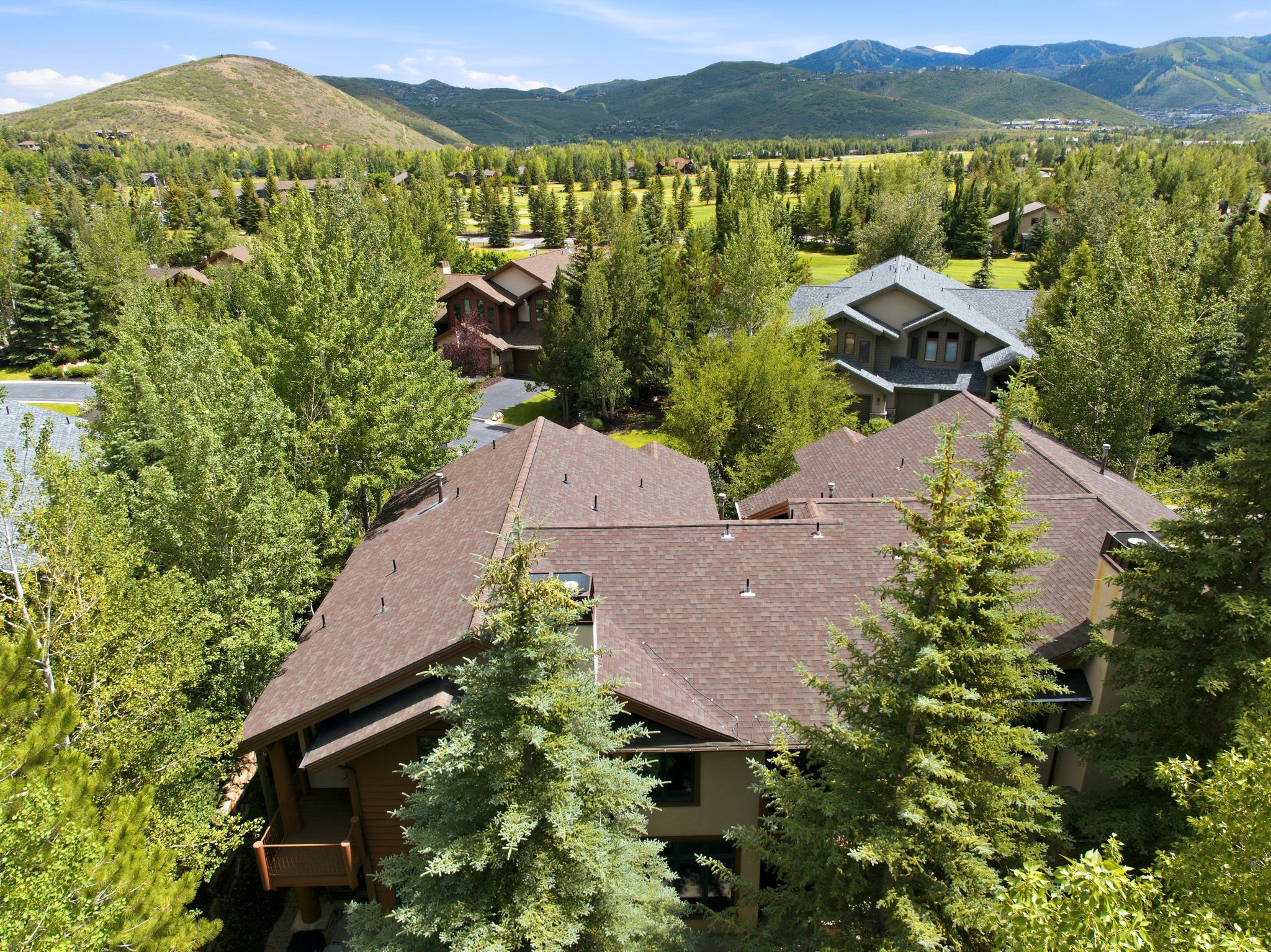 Expansive shingle roofline framed by mature trees