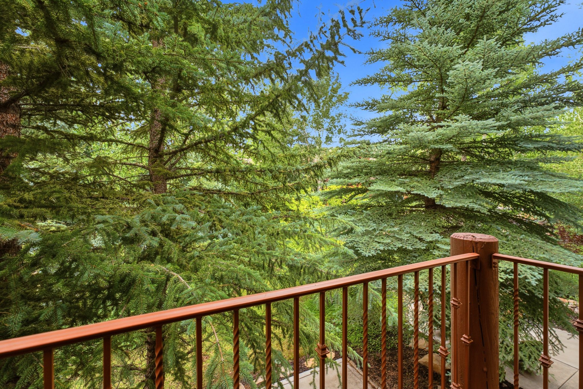 Balcony featuring a bronze-toned metal railing with twisted spindles and a rustic log post