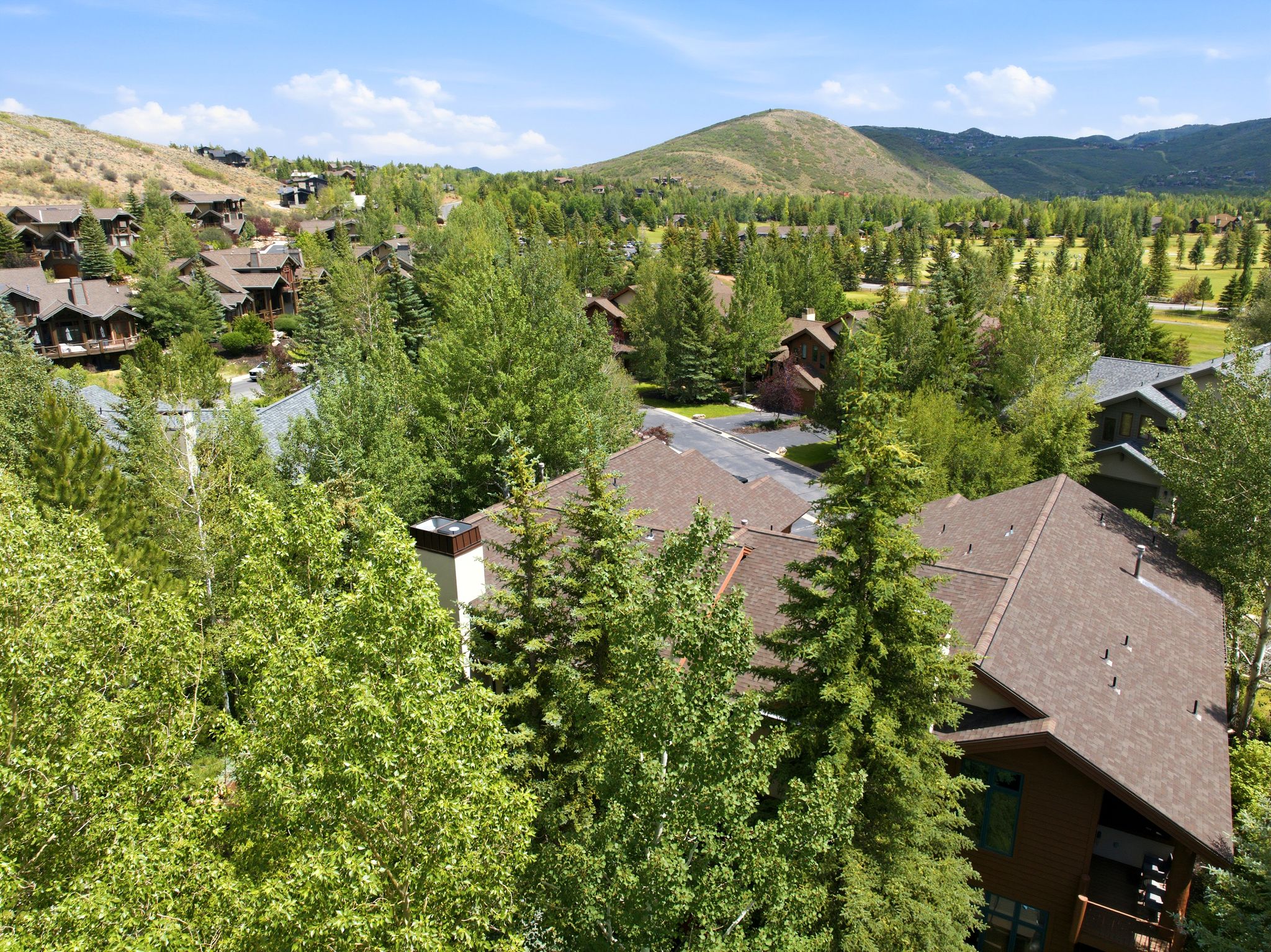 Elevated property featuring a dark brown shingle roof and a prominent chimney