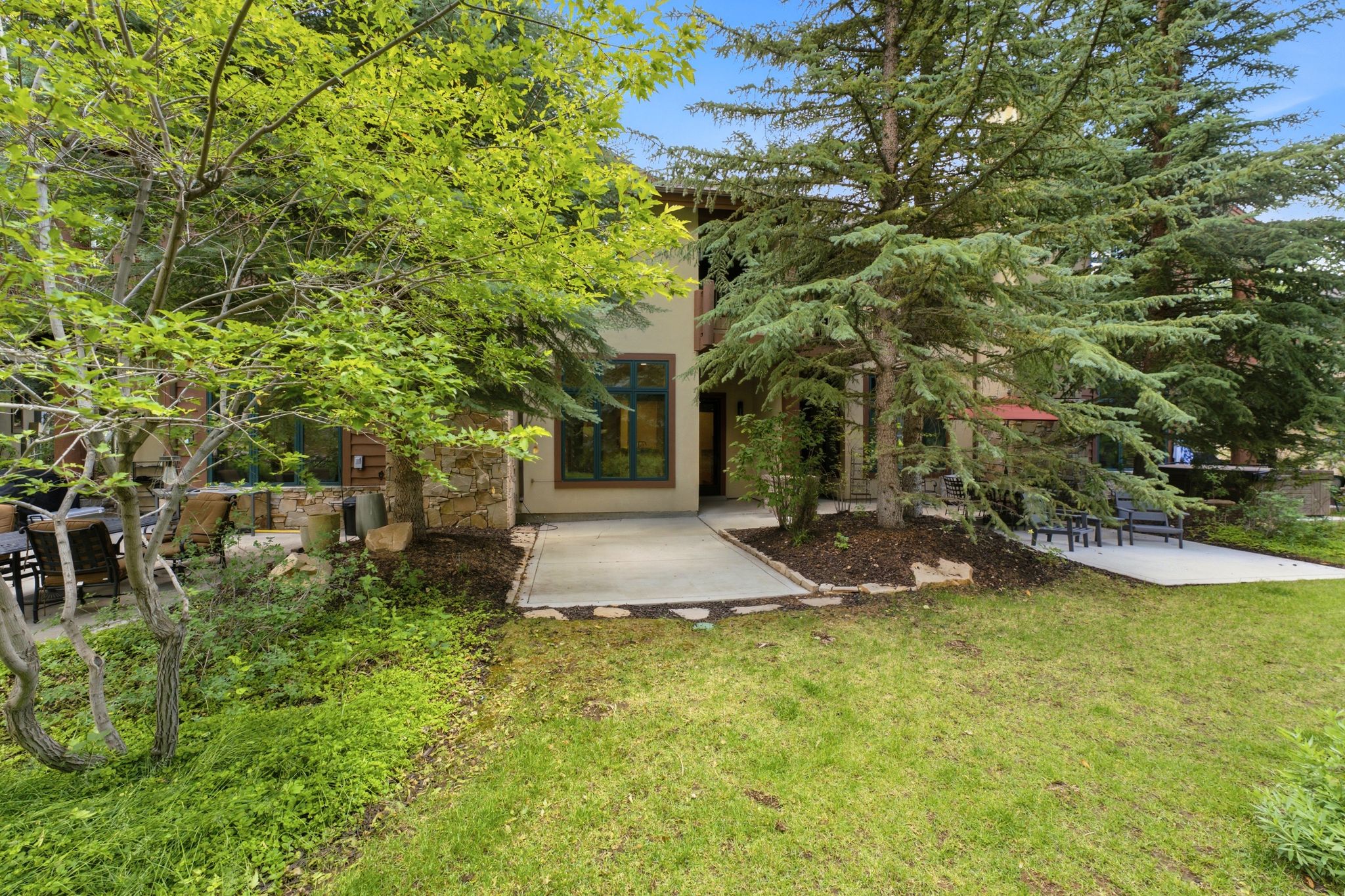 Front exterior showcasing a stone facade, multiple windows with dark trim, mature evergreen trees, a concrete walkway, and a manicured lawn