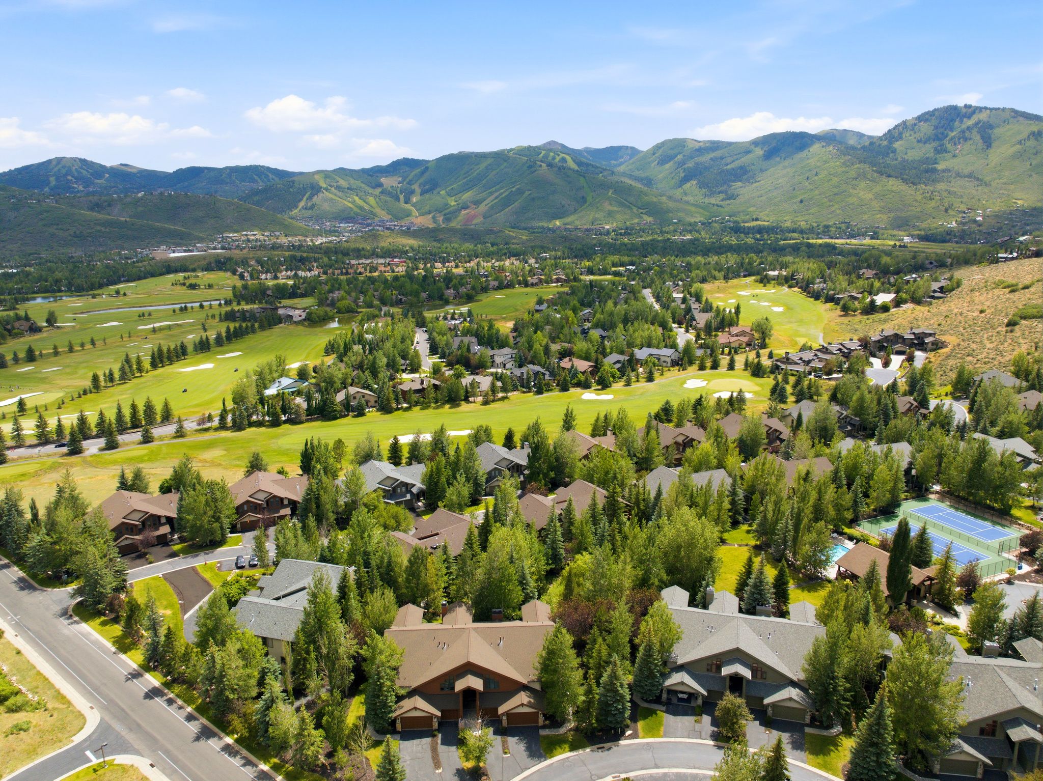 Aerial perspective showcasing residential properties nestled among mature trees