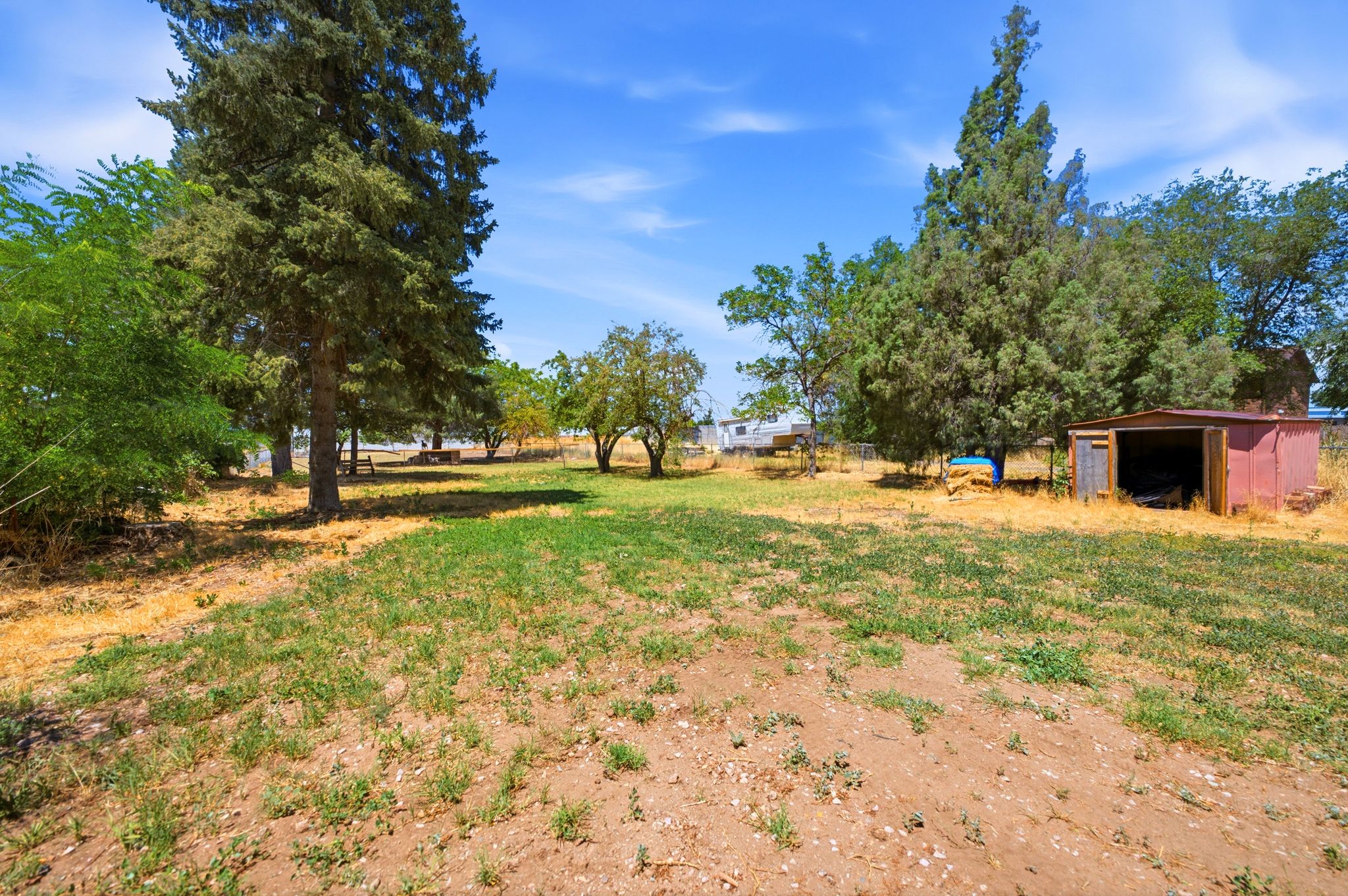 Expansive outdoor space featuring mature trees and a detached storage shed
