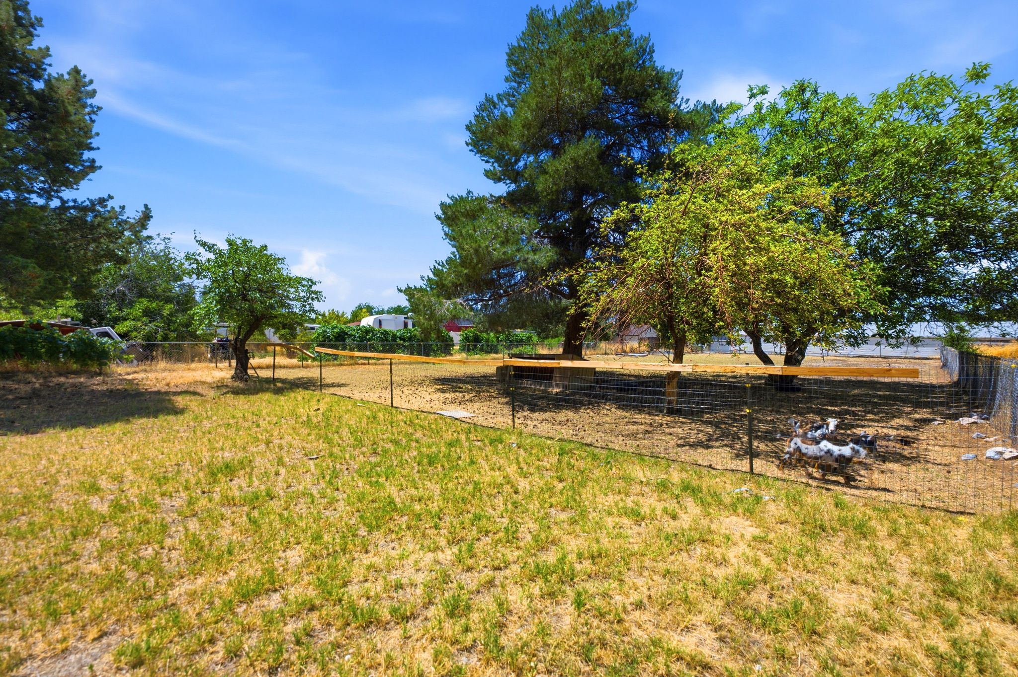 Expansive outdoor space featuring mature trees providing shade
