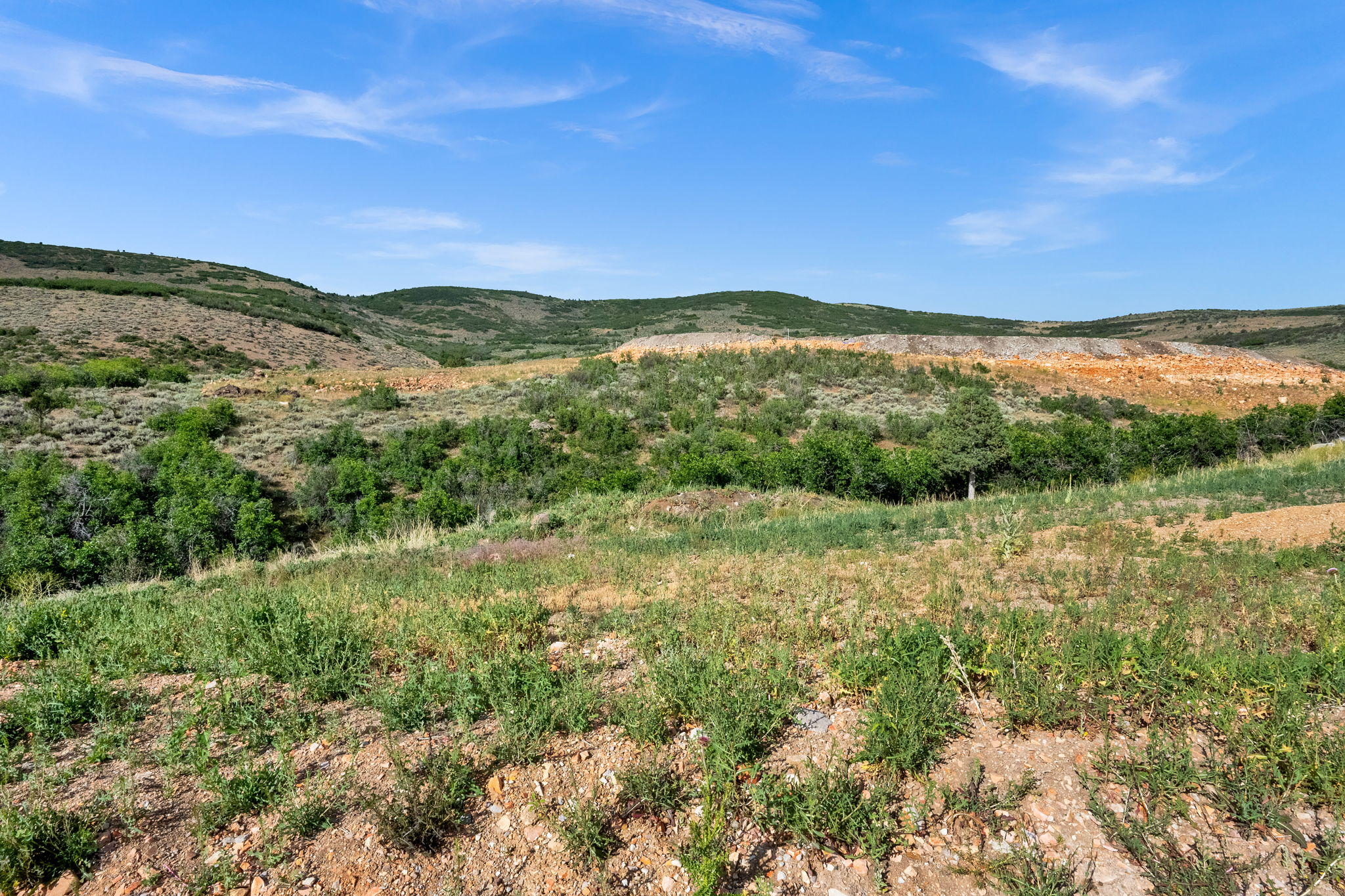 Expansive land featuring diverse topography, including rolling hills and varied vegetation