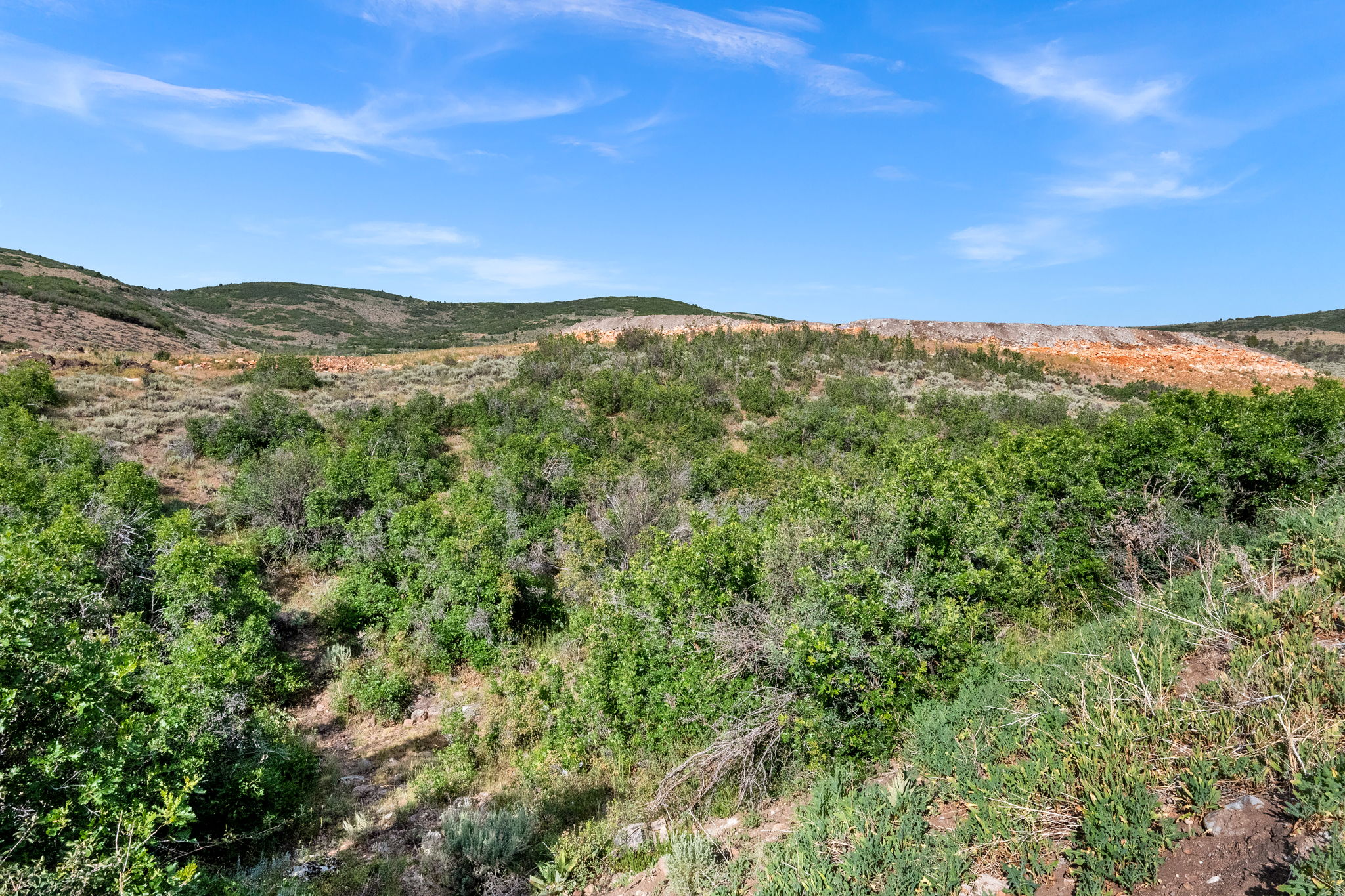 Expansive natural landscape featuring varied terrain and lush green vegetation