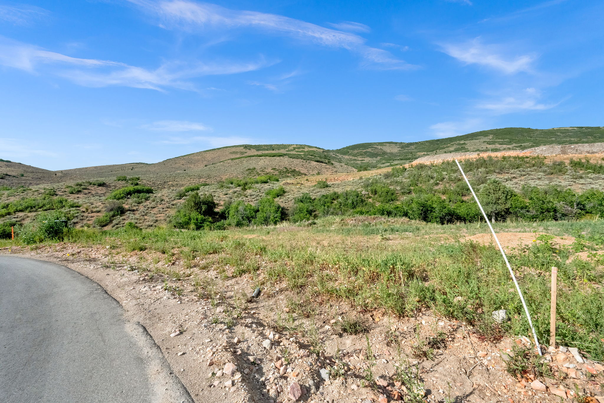 Expansive hillside property featuring natural vegetation and distant rolling hills